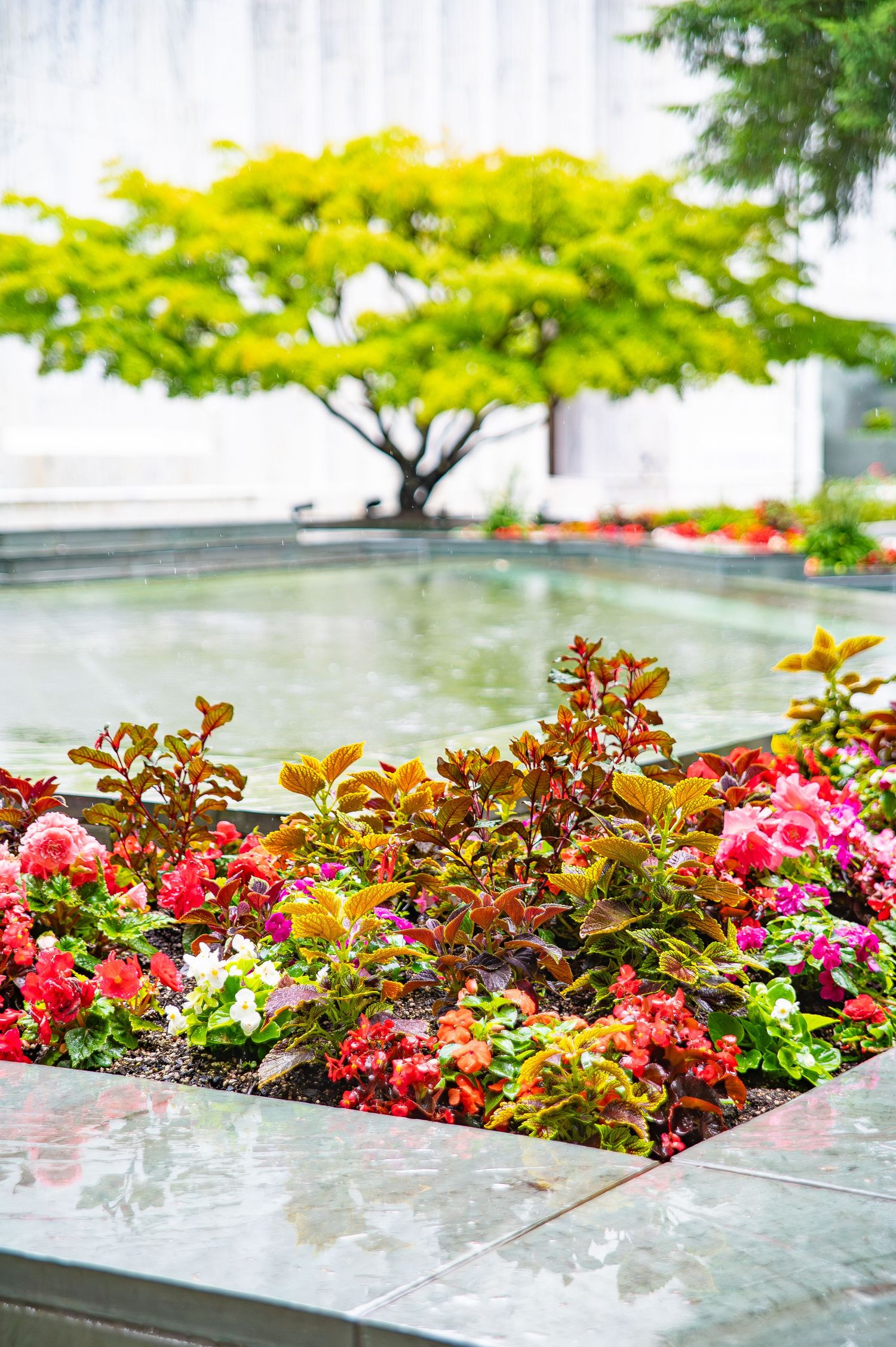 Colorful flower bed with pink and red blooms against a stone wall.