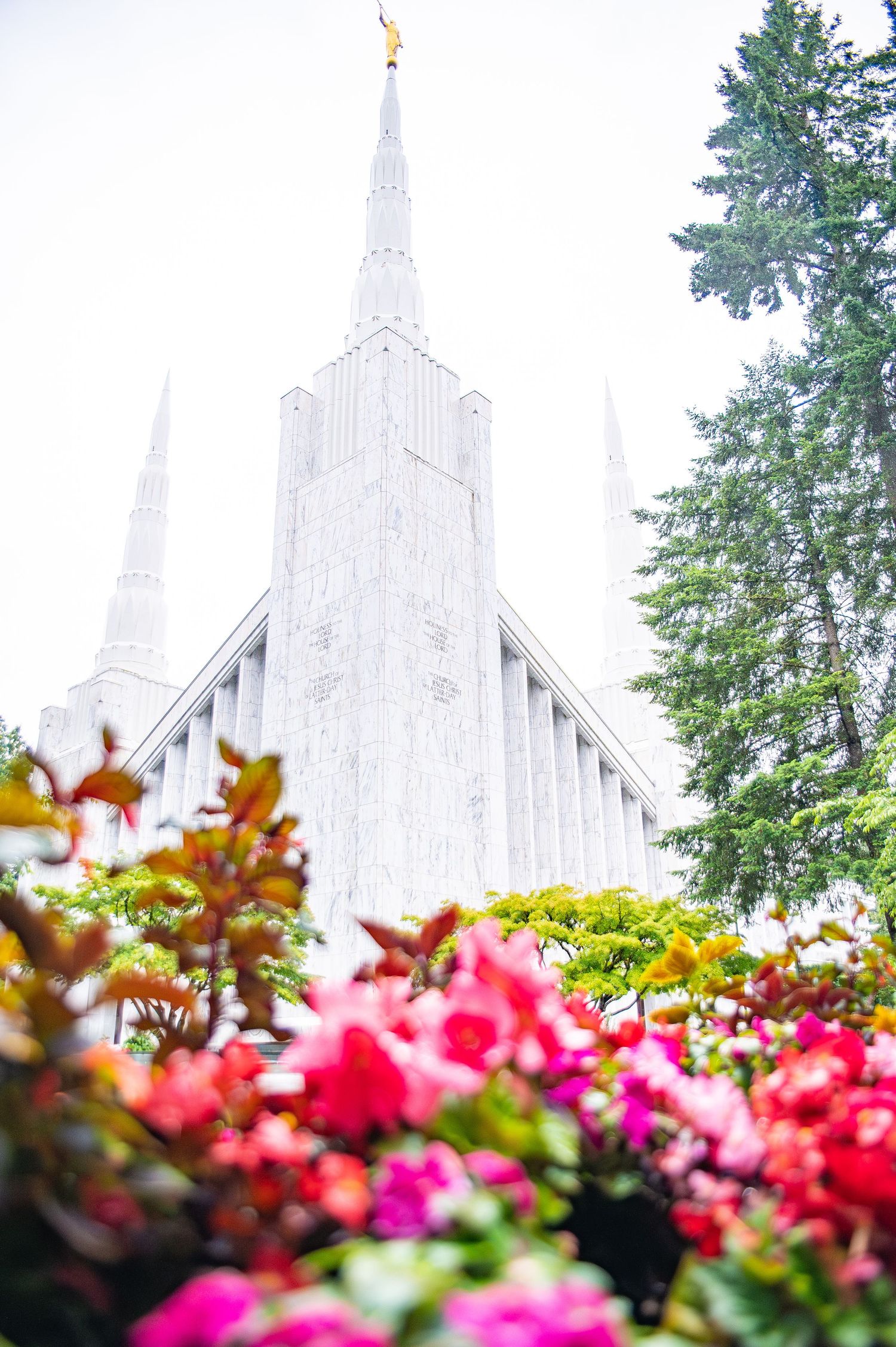 White church spires rise above vibrant pink and red flowers in a garden setting.