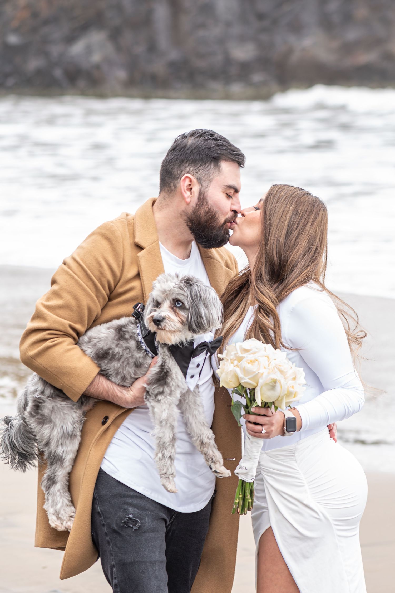 Couple kissing on beach in wedding attire, holding white roses bouquet and a cute gray dog wearing bow tie.