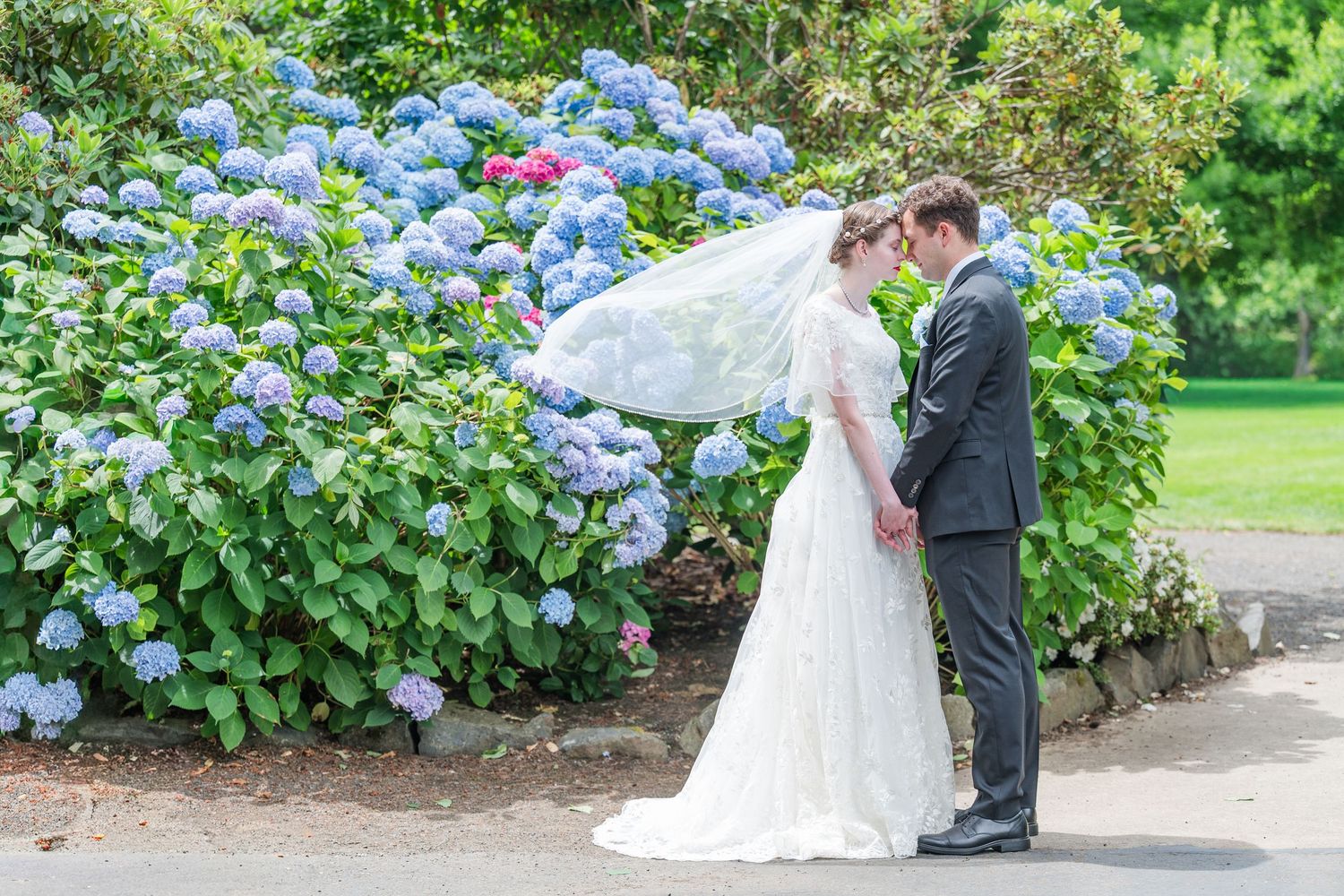 Bride and groom share romantic moment near blooming blue hydrangeas, veil flowing in the breeze.