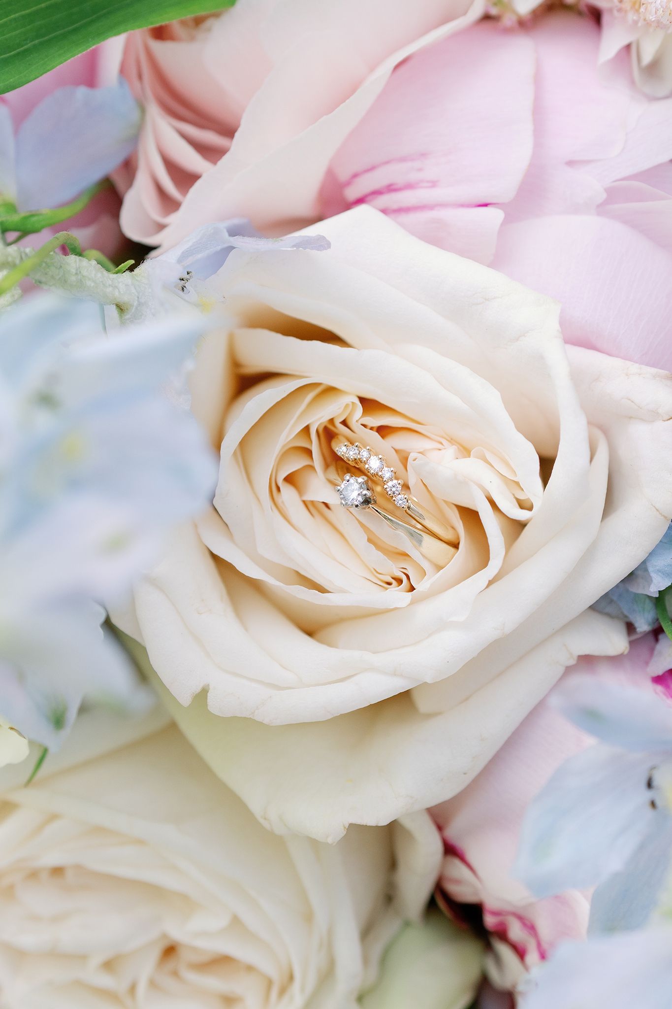 Diamond engagement ring nestled in a cream garden rose surrounded by soft pink and blue flowers in a bridal bouquet.