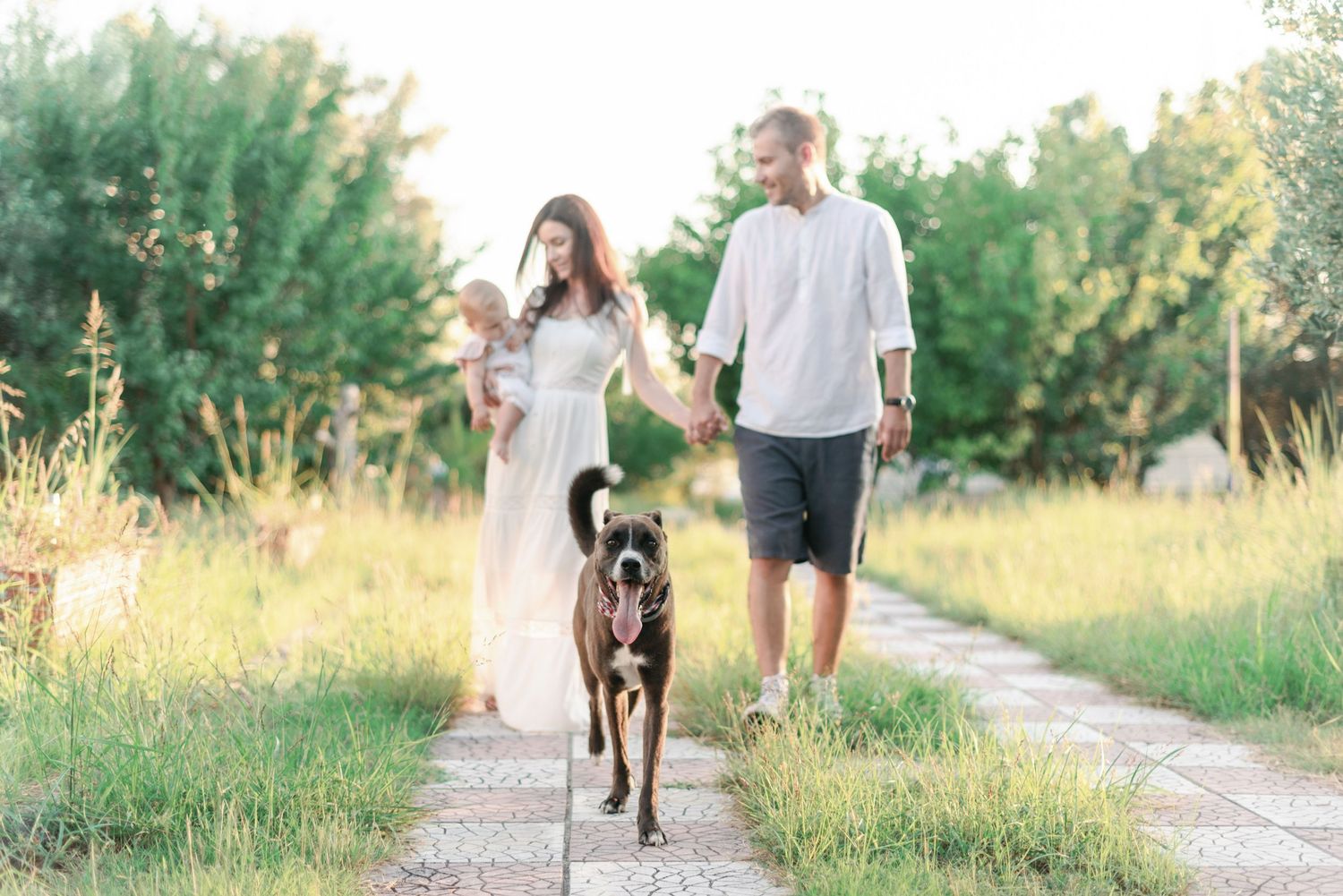 A couple walks their brown dog along a rural path during golden hour.