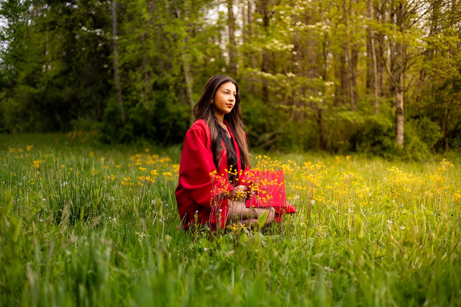 A figure in a bright red coat sits on a wooden bench surrounded by a meadow of yellow wildflowers and spring greenery.