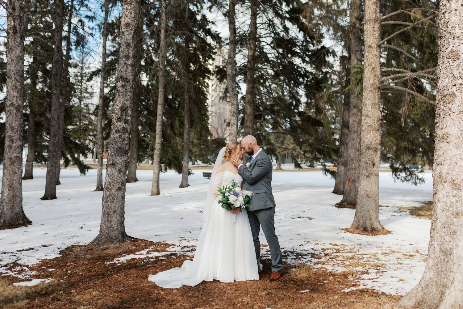 Bride and groom share a romantic kiss among snow-dusted pine trees in a serene winter wedding outdoor setting.