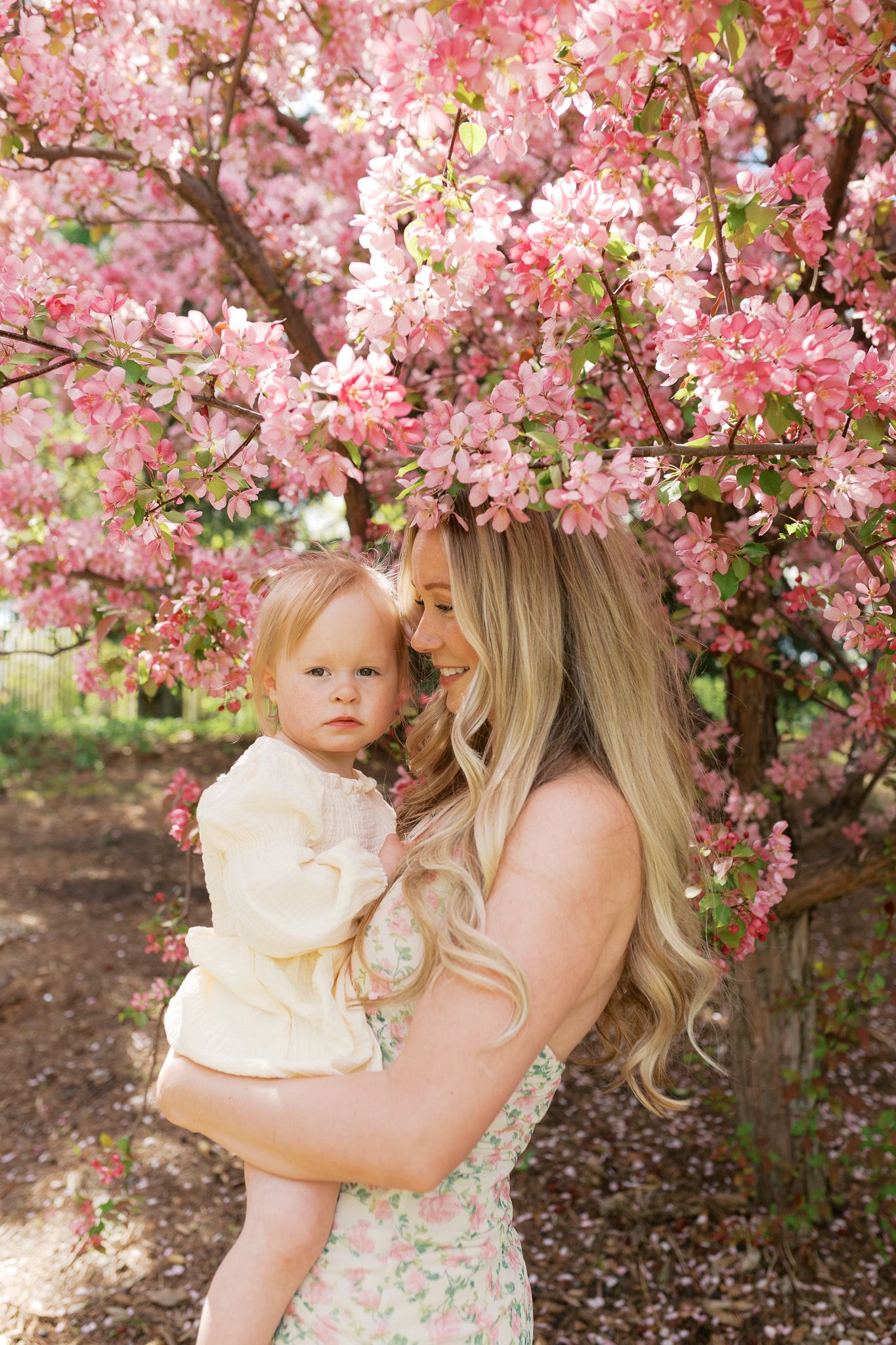 Cherry blossoms in full bloom create a romantic pink backdrop under a spring tree in a garden setting.