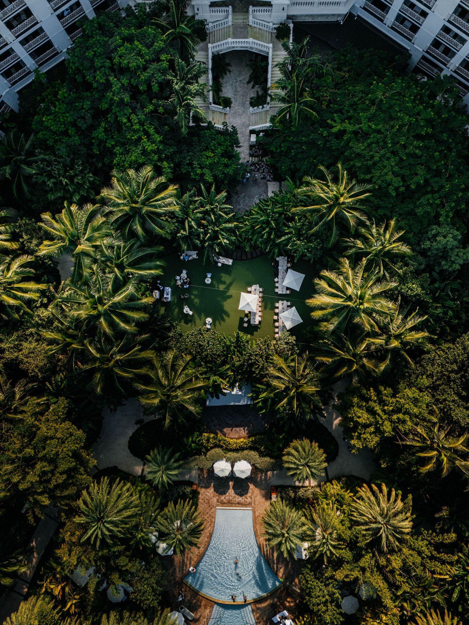 Aerial view of a lush tropical hotel courtyard with palm trees, a pool, and white lounge chairs surrounded by greenery.