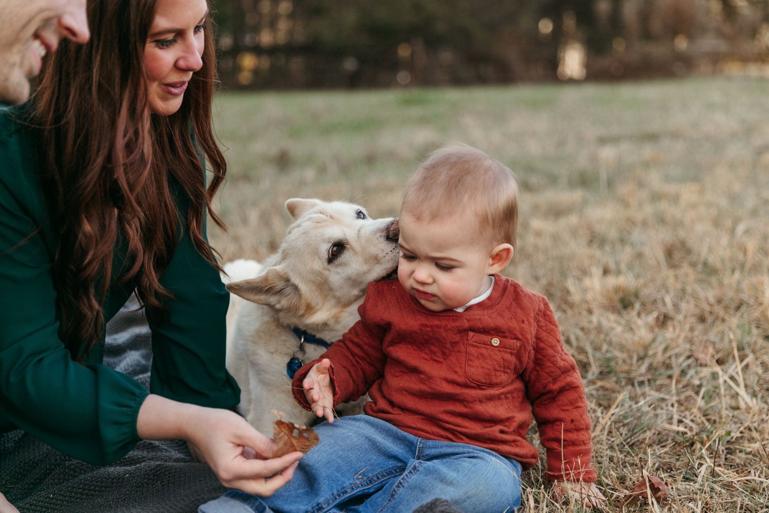 A baby in red sweater meets a friendly white dog while sitting outdoors with family.