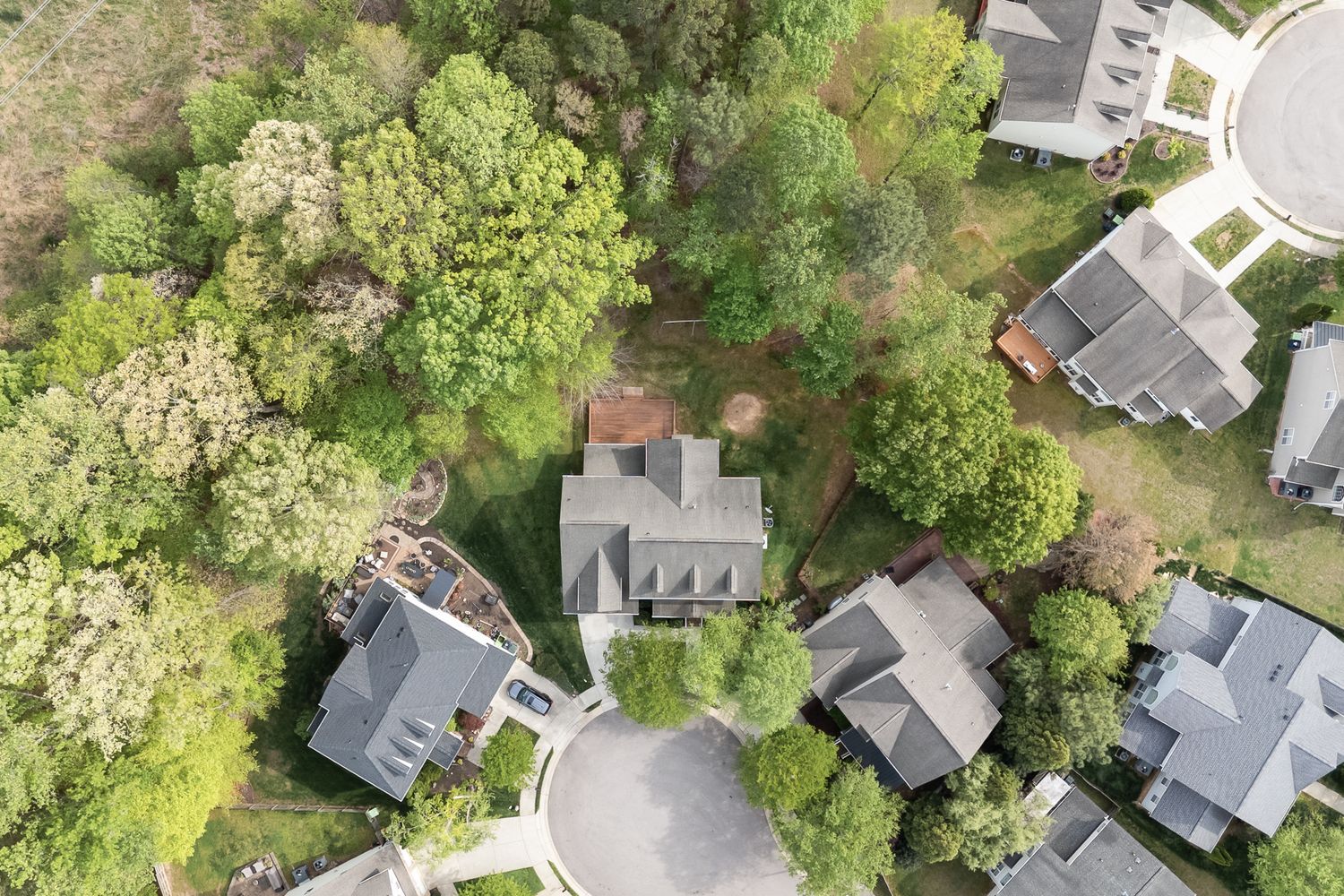 Aerial view of suburban homes surrounded by lush green trees in a quiet residential neighborhood.