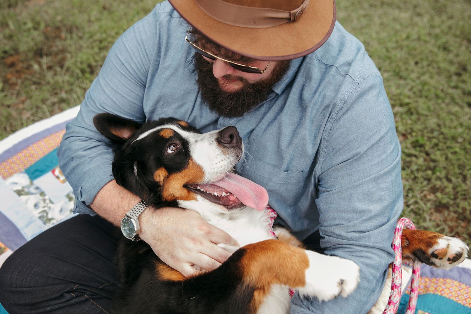 Person in hat and denim shirt cuddles with their happy Bernese Mountain Dog on a blanket.