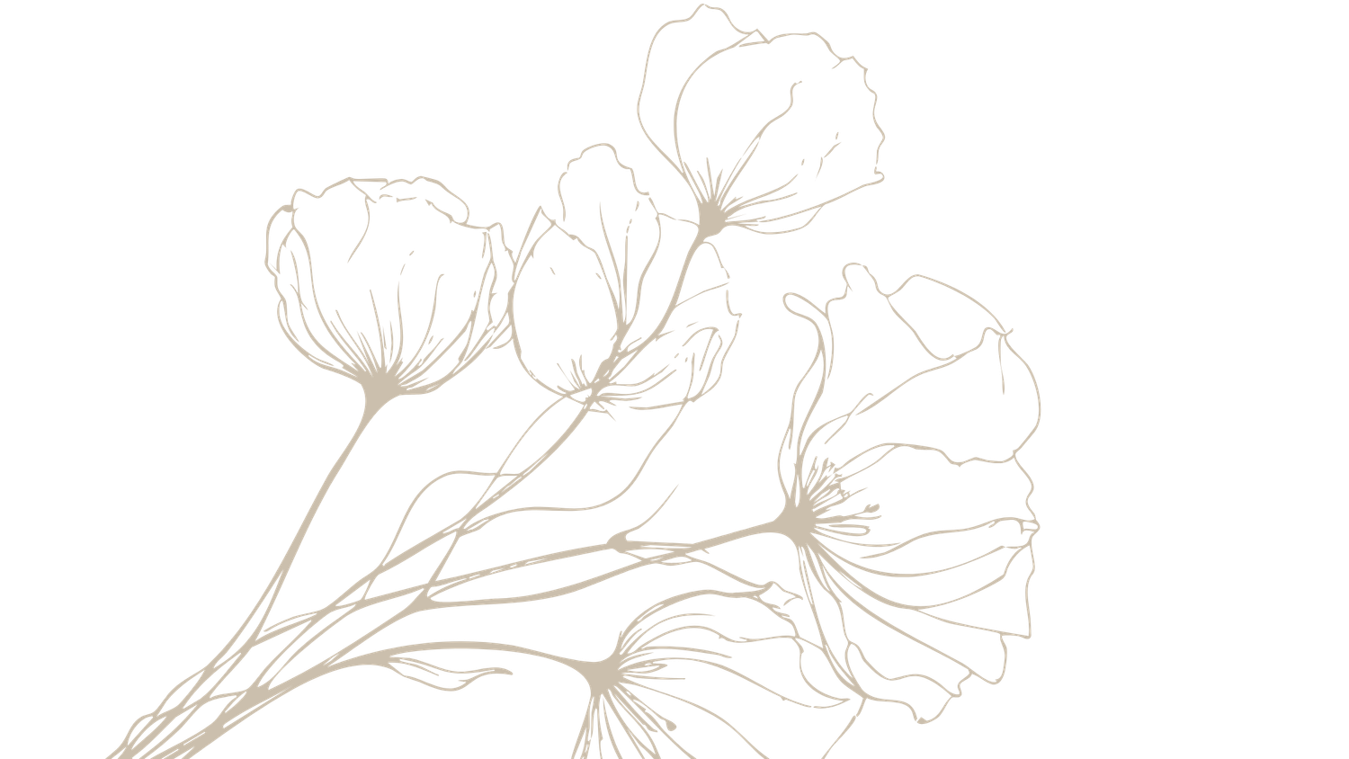 Intricate line art sketches of branching tree limbs with flowing organic shapes and curves.