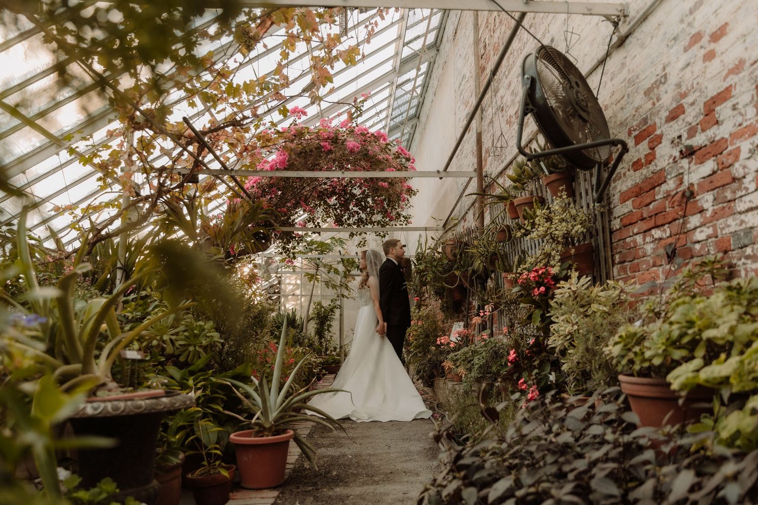 White dress silhouette in a vintage greenhouse filled with flowering plants and red brick walls in warm light.