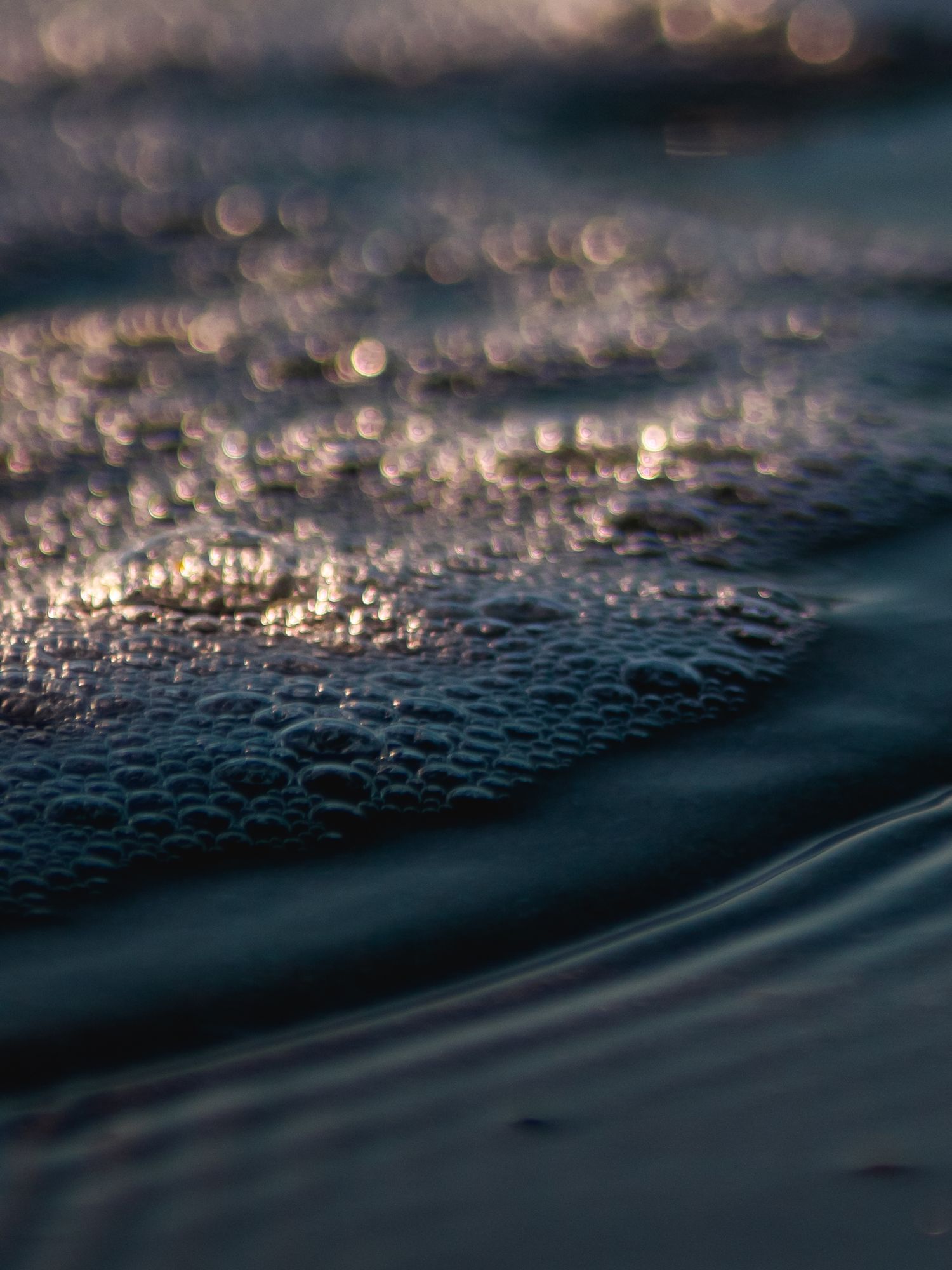 Macro shot of sea foam catching golden light with bokeh effects on dark water.
