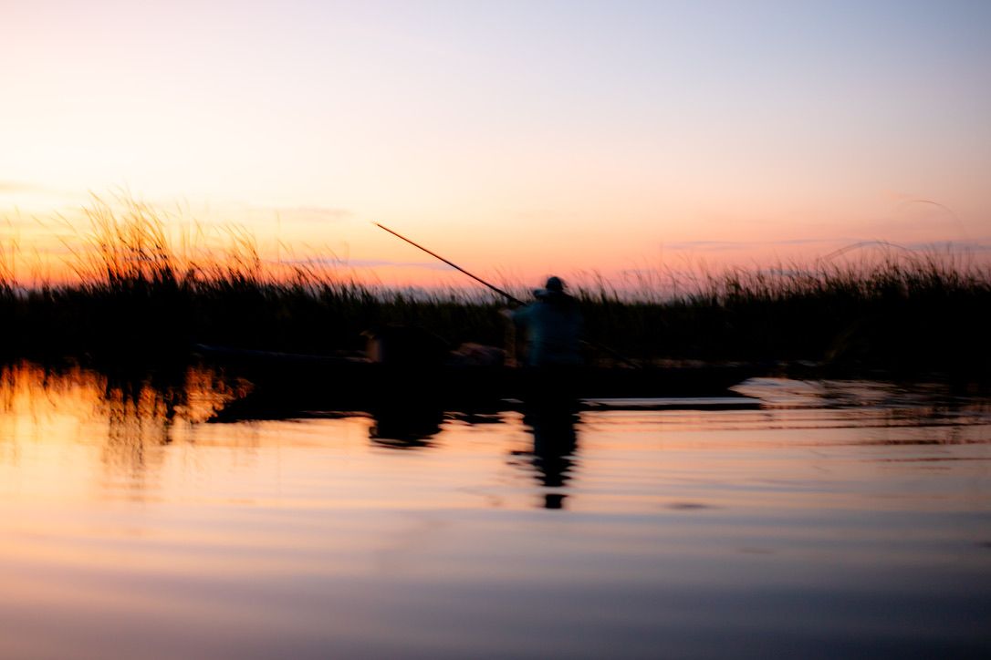 Serene sunset over calm waters with silhouetted marsh grasses.