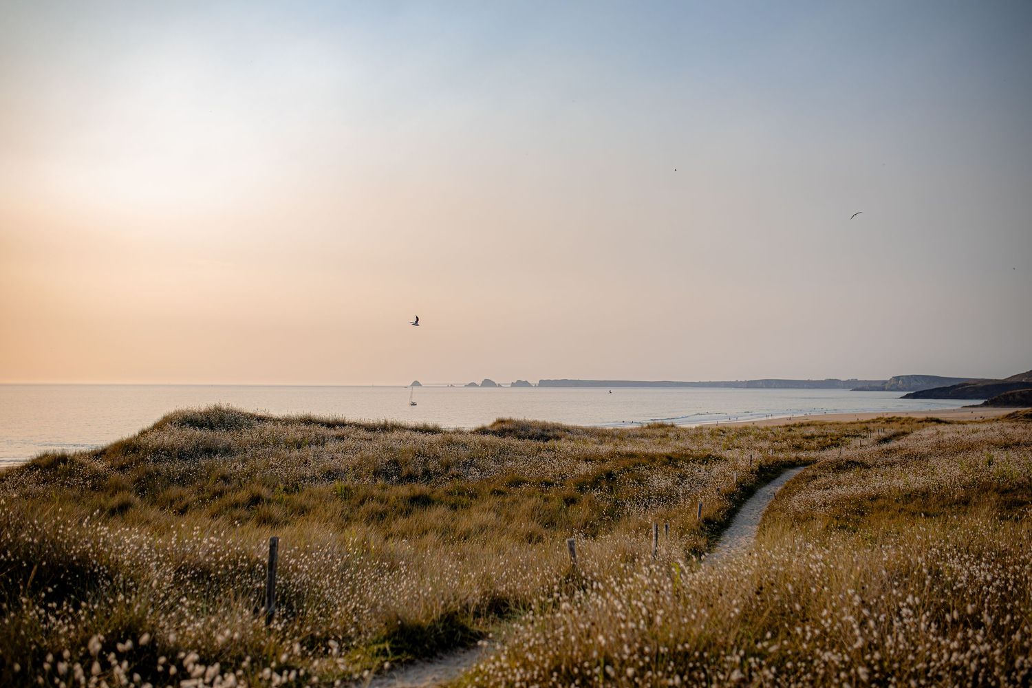 A panoramic view of rolling sand dunes stretches along a misty coastal landscape at sunset.