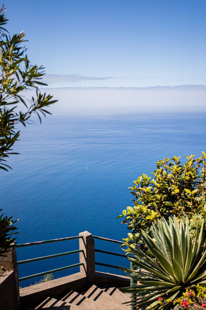 Ocean viewpoint with wooden railing and tropical plants overlooking blue horizon.