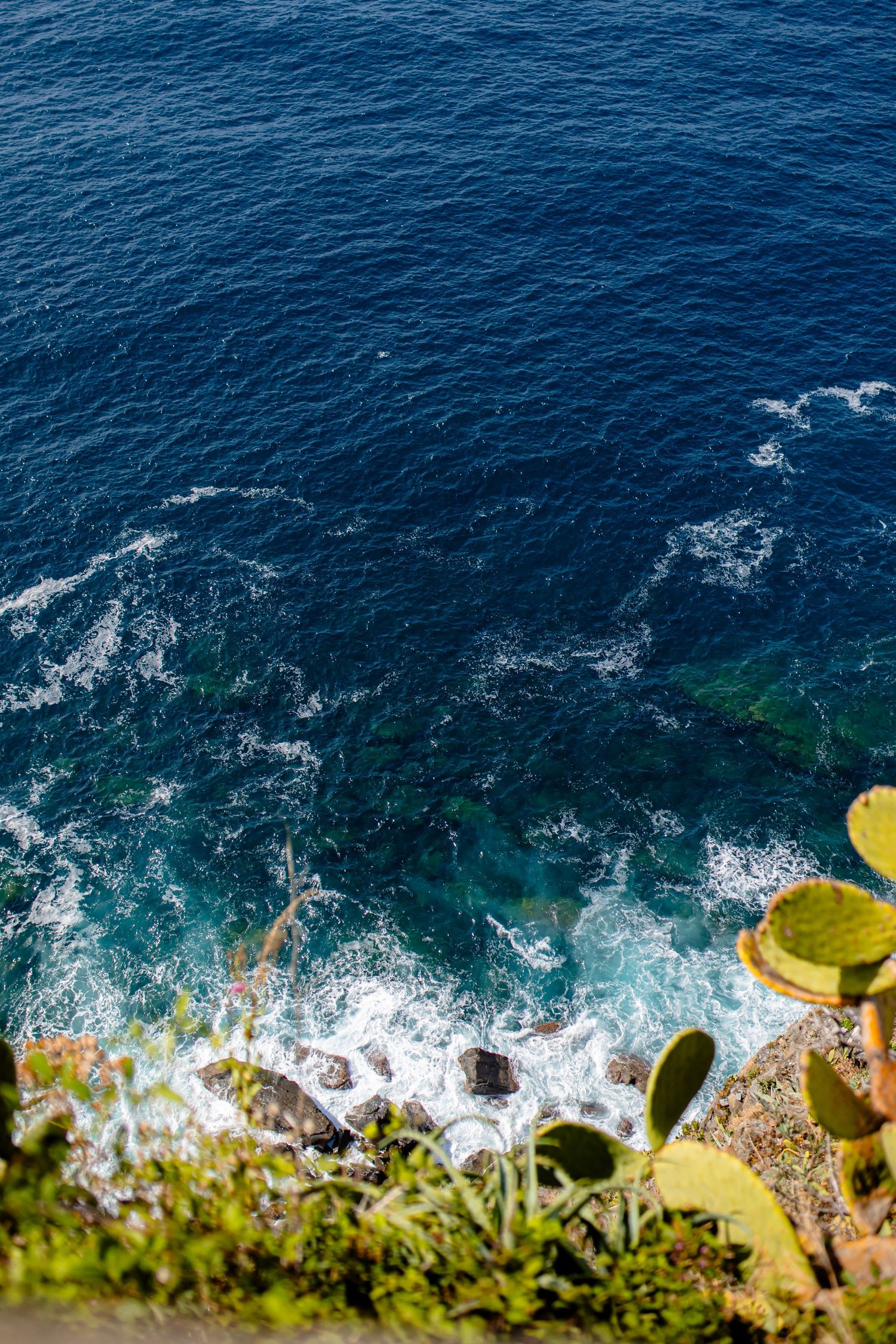 Aerial view of deep blue ocean waves crashing against rocky coastline with yellow wildflowers growing on the cliffs.