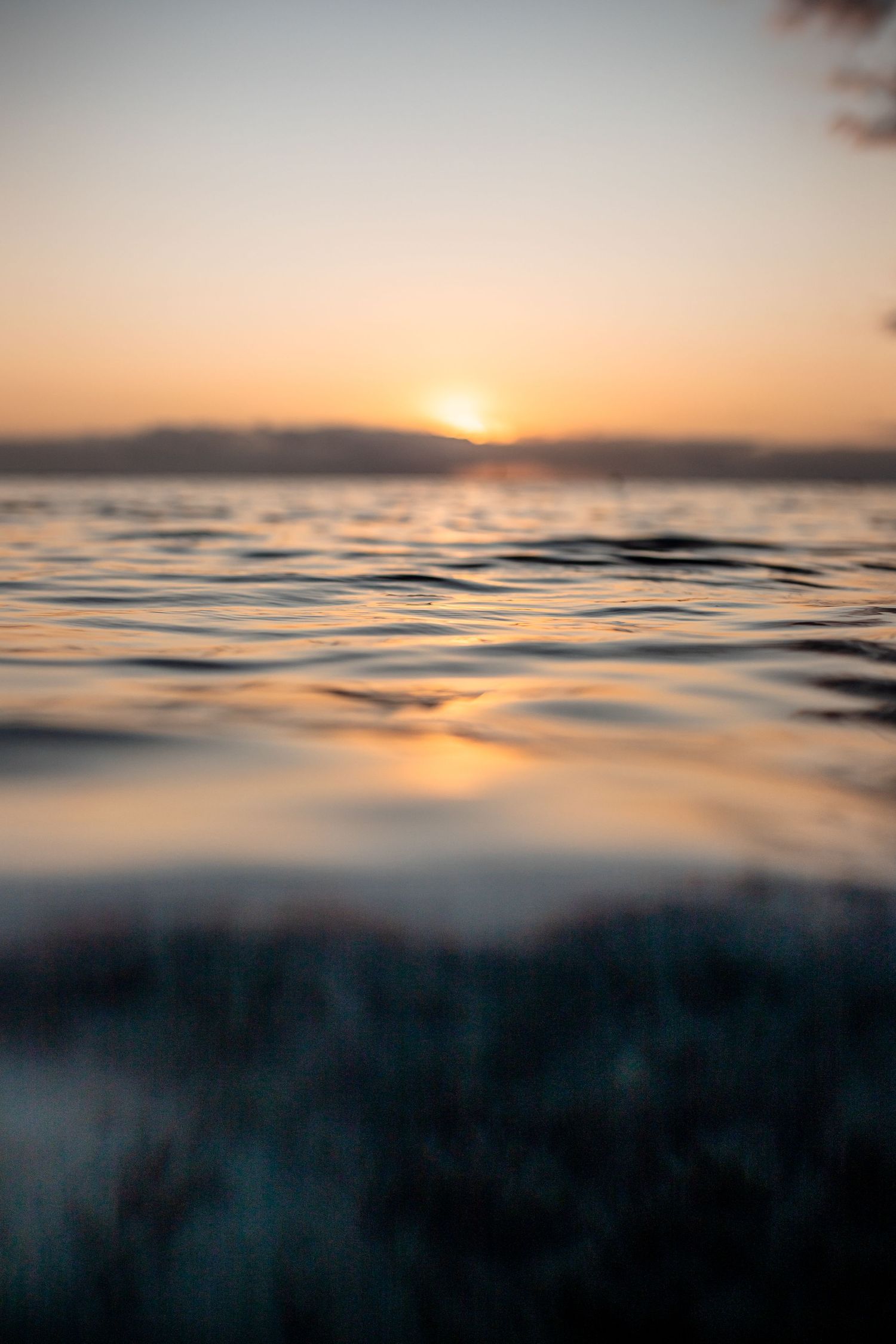 Split-shot of ocean surface during sunset with golden light reflecting on rippling waves.