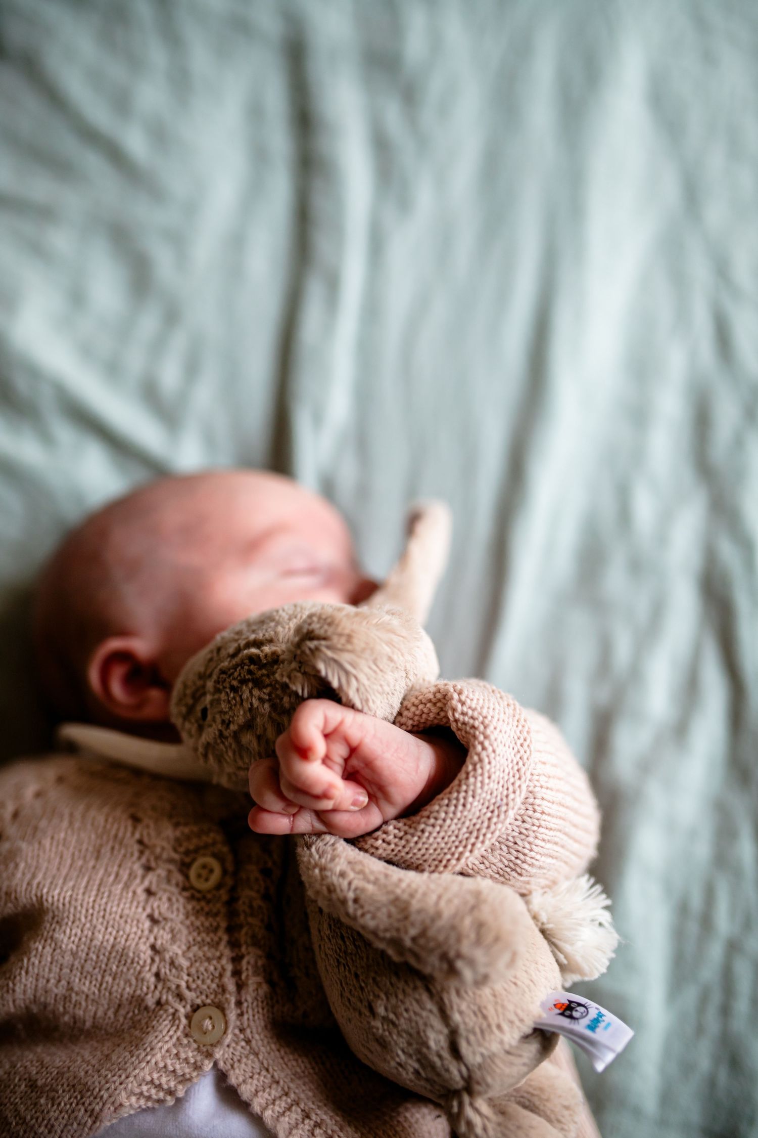Photo de bébé avec son doudou qui dort