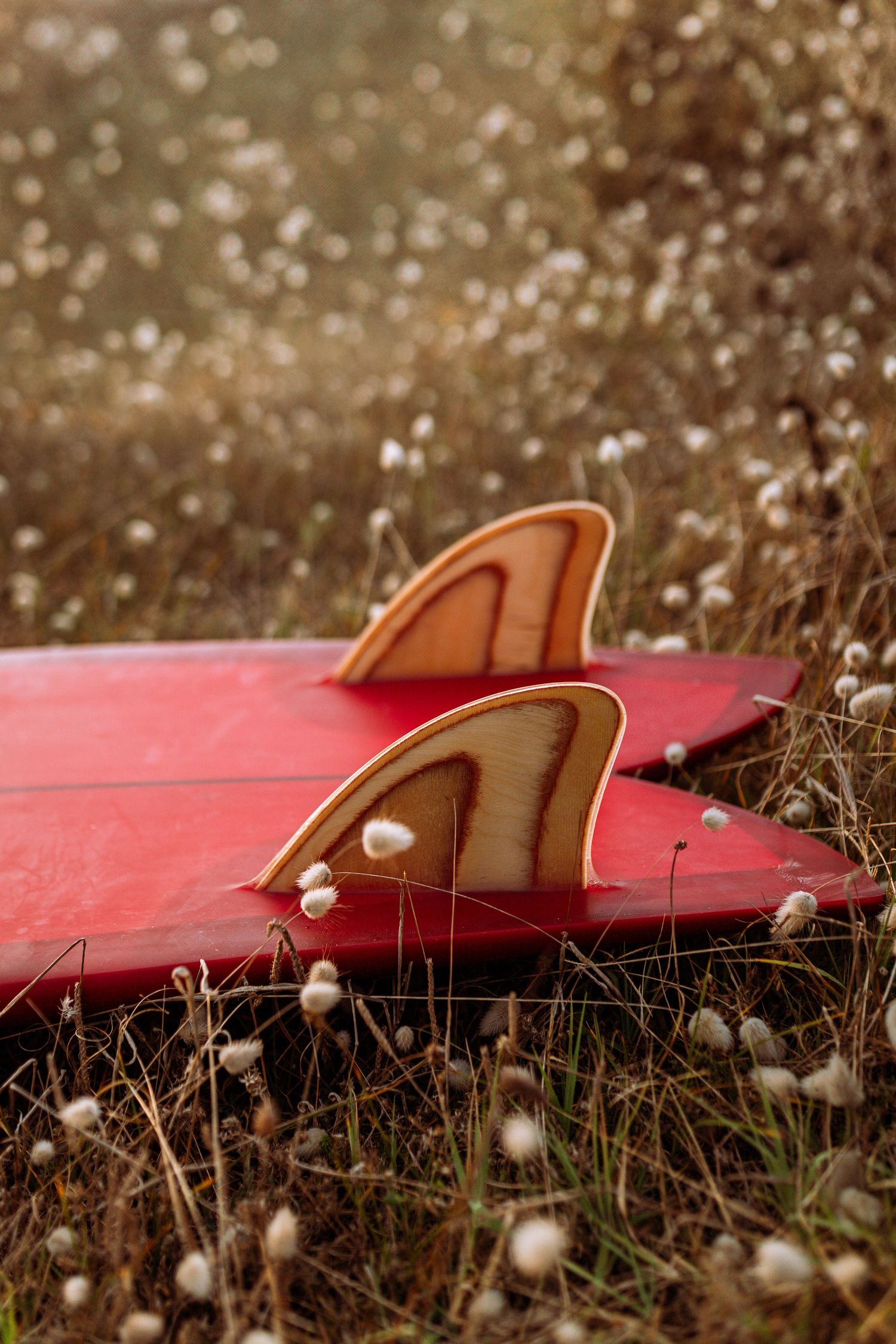 Red surfboard rests on dry grass with small white flowers in a dreamy bokeh background.