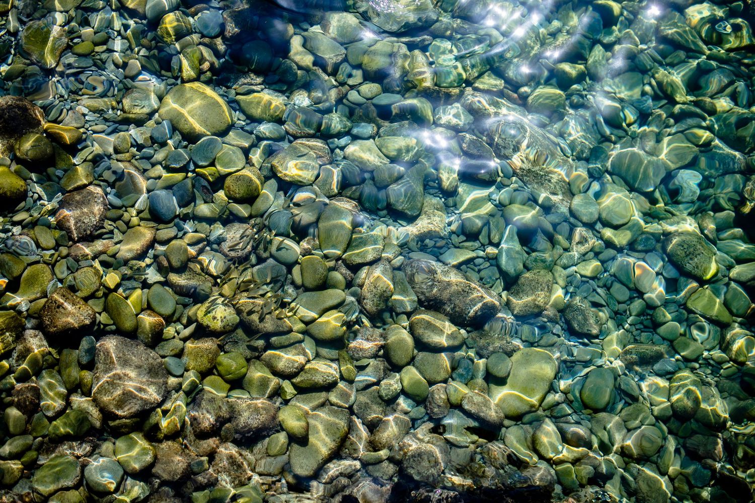 Smooth river rocks visible through crystal clear water creating a mesmerizing underwater pattern in blue-green tones.