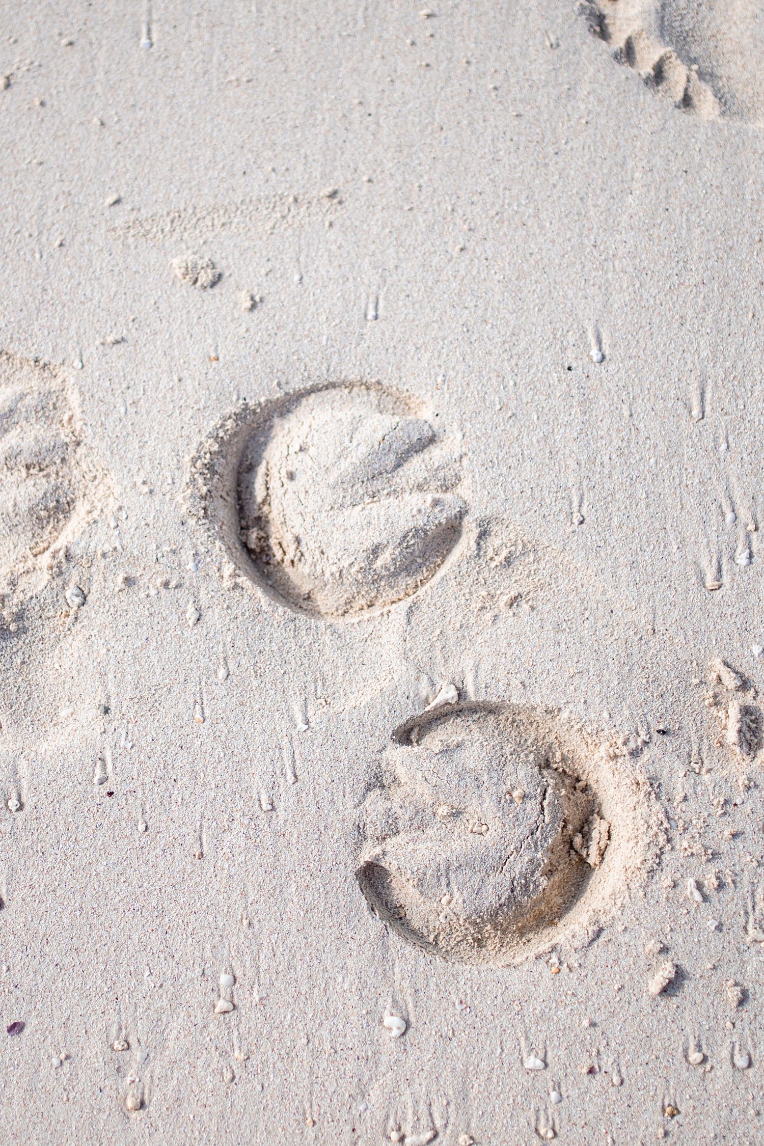 des sabots sur le sable blanc