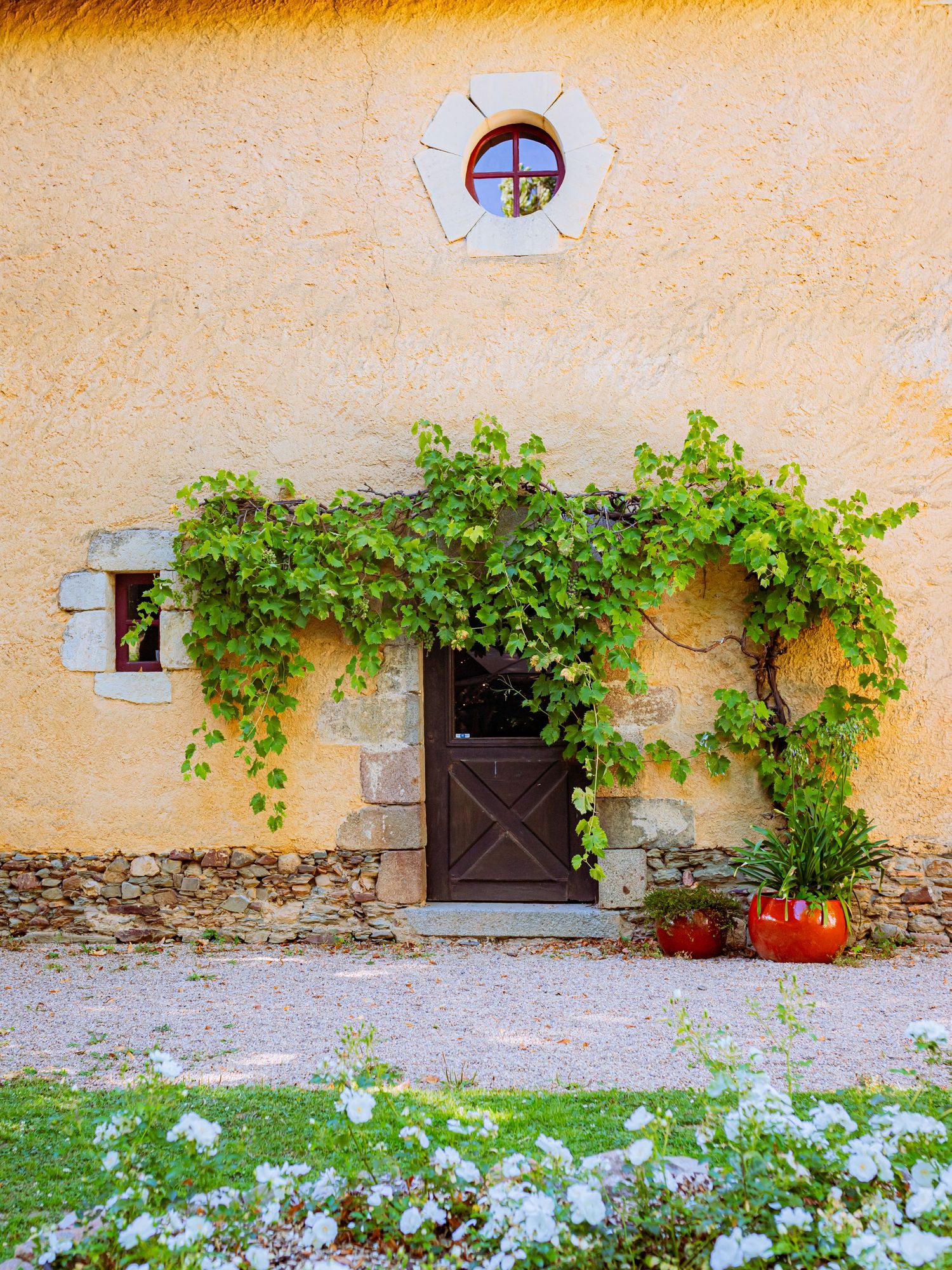 Green vines climb across a rustic stone wall with small windows and a wooden door in a Mediterranean style setting.