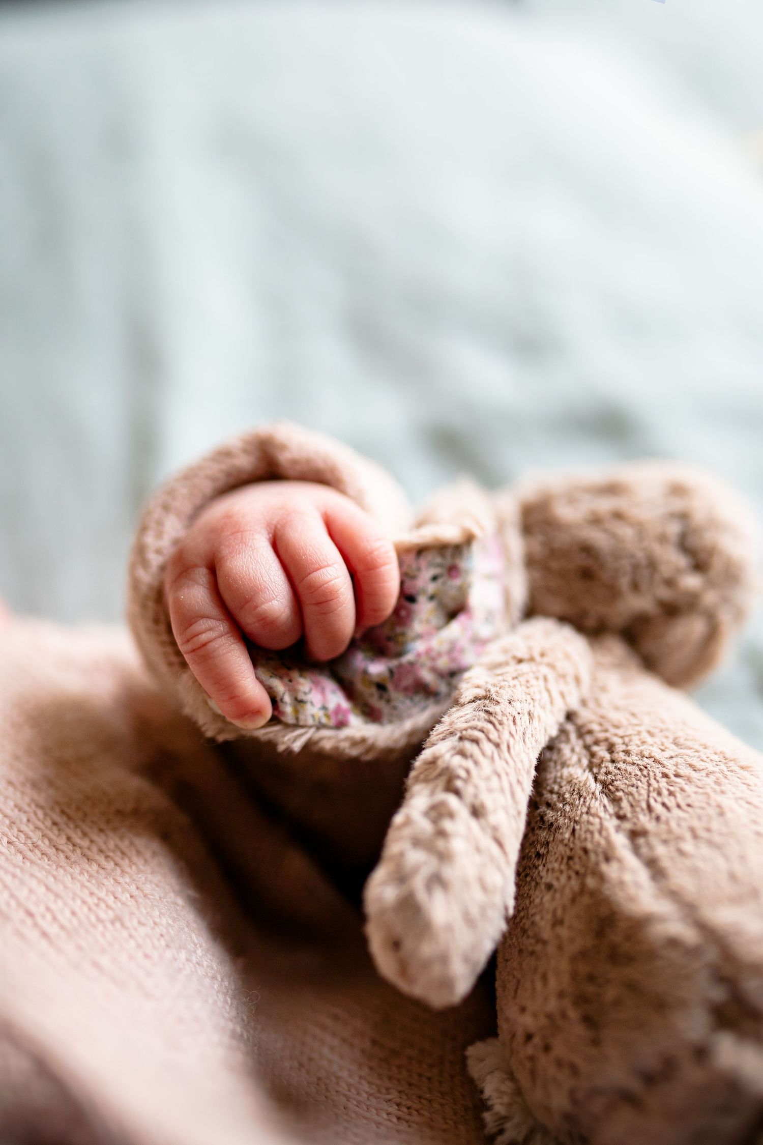 Photo de doudou de bébé