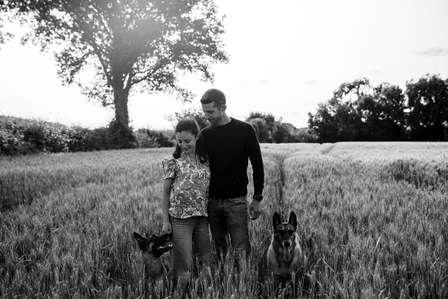 Couple et chiens au milieu d'un champ
