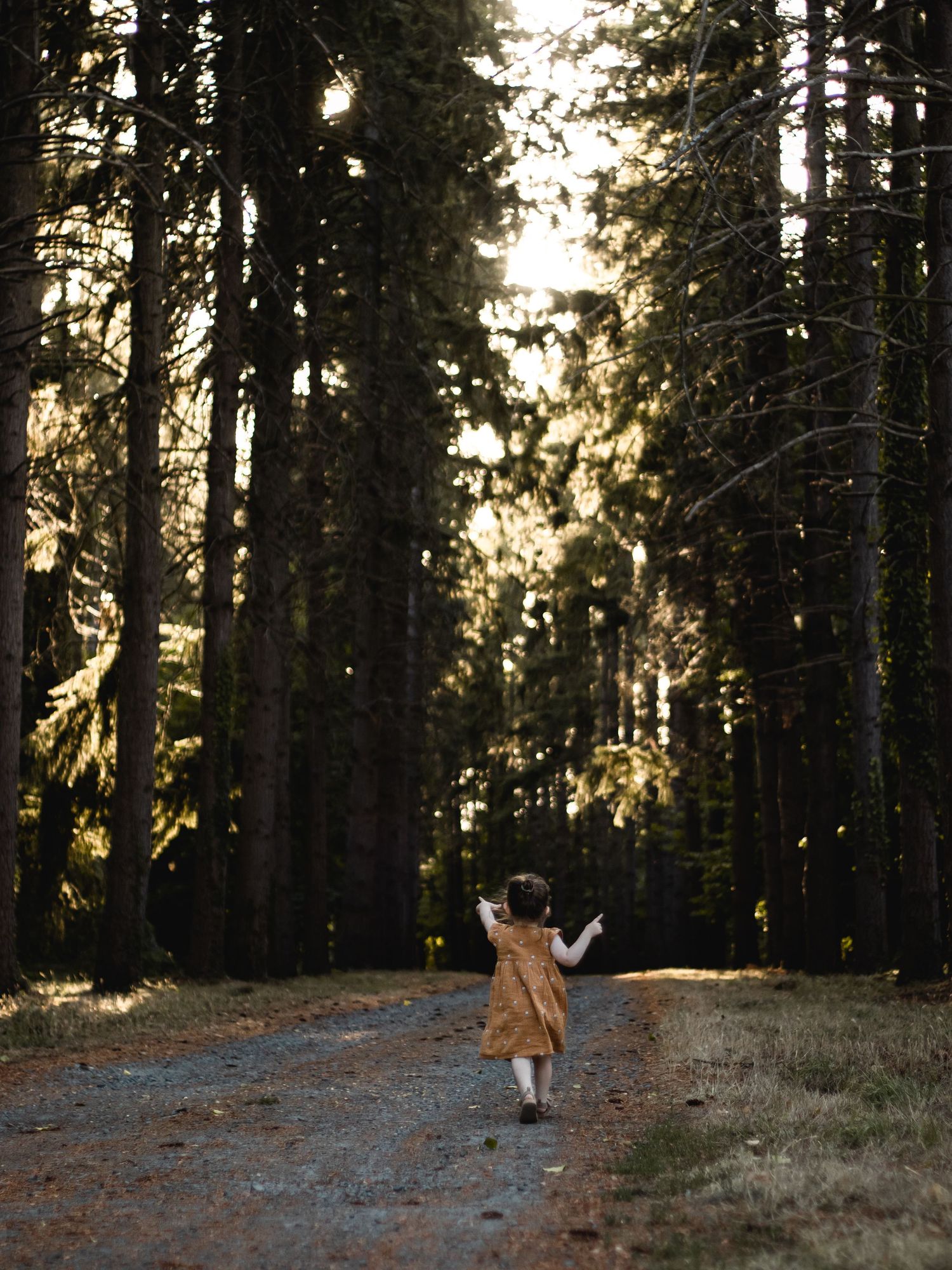 Small figure in coat walking down forest path with sunlight filtering through trees.