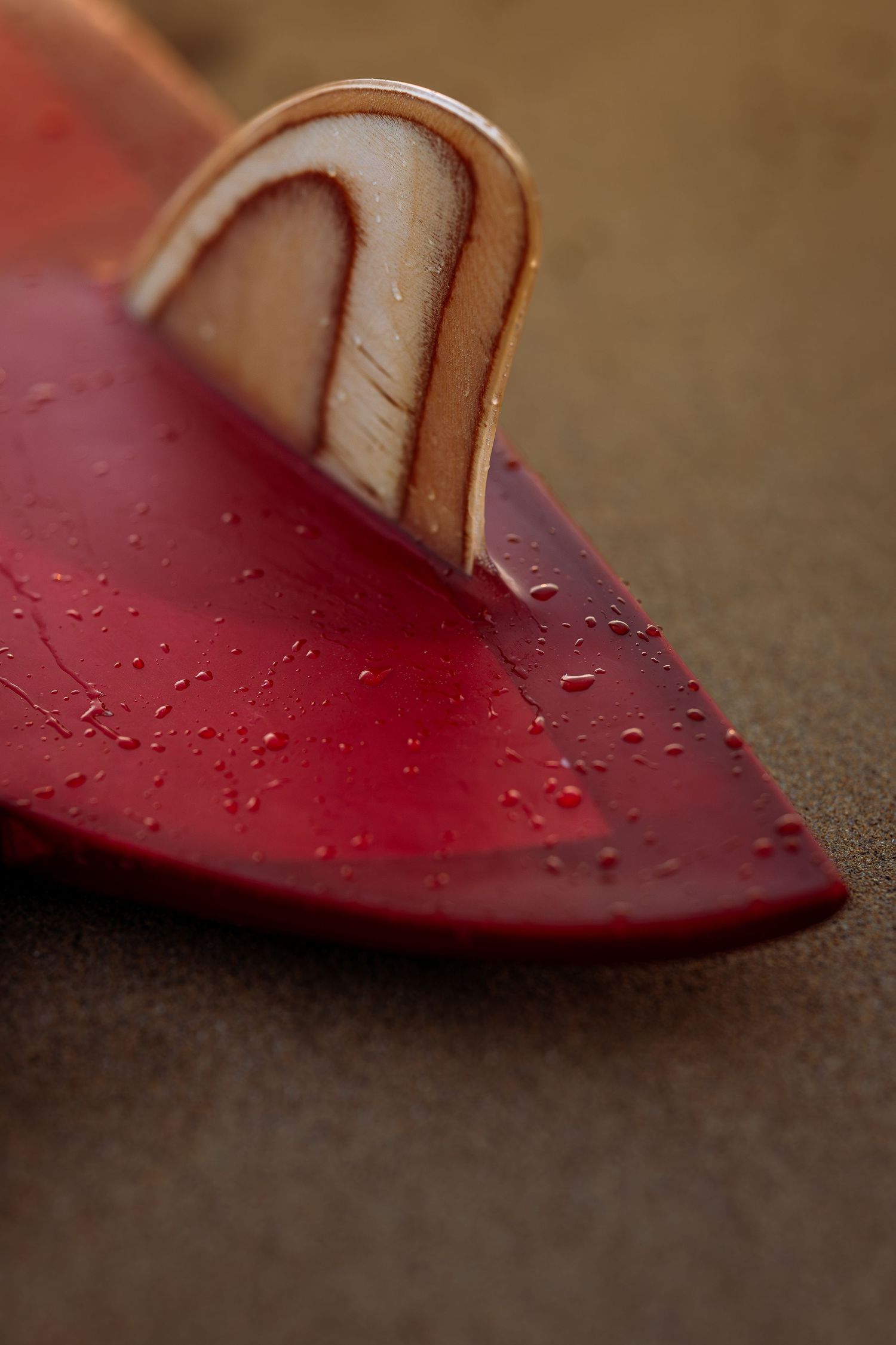 Close-up of a red leather shoe with water droplets showing the curved edge and tan leather trim detail.