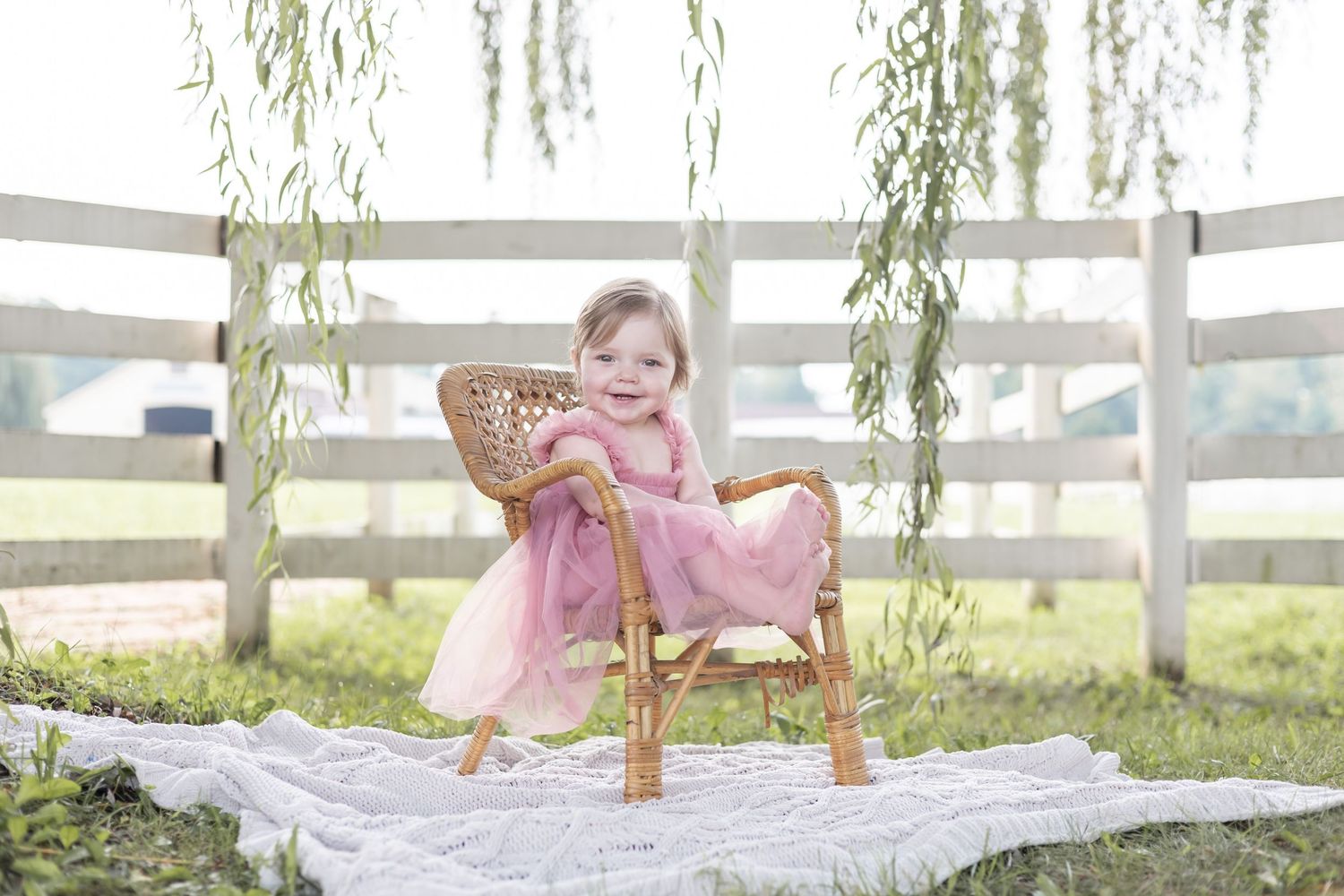 A romantic picnic setup under a weeping willow tree with a blanket, pillows, and decorative touches.