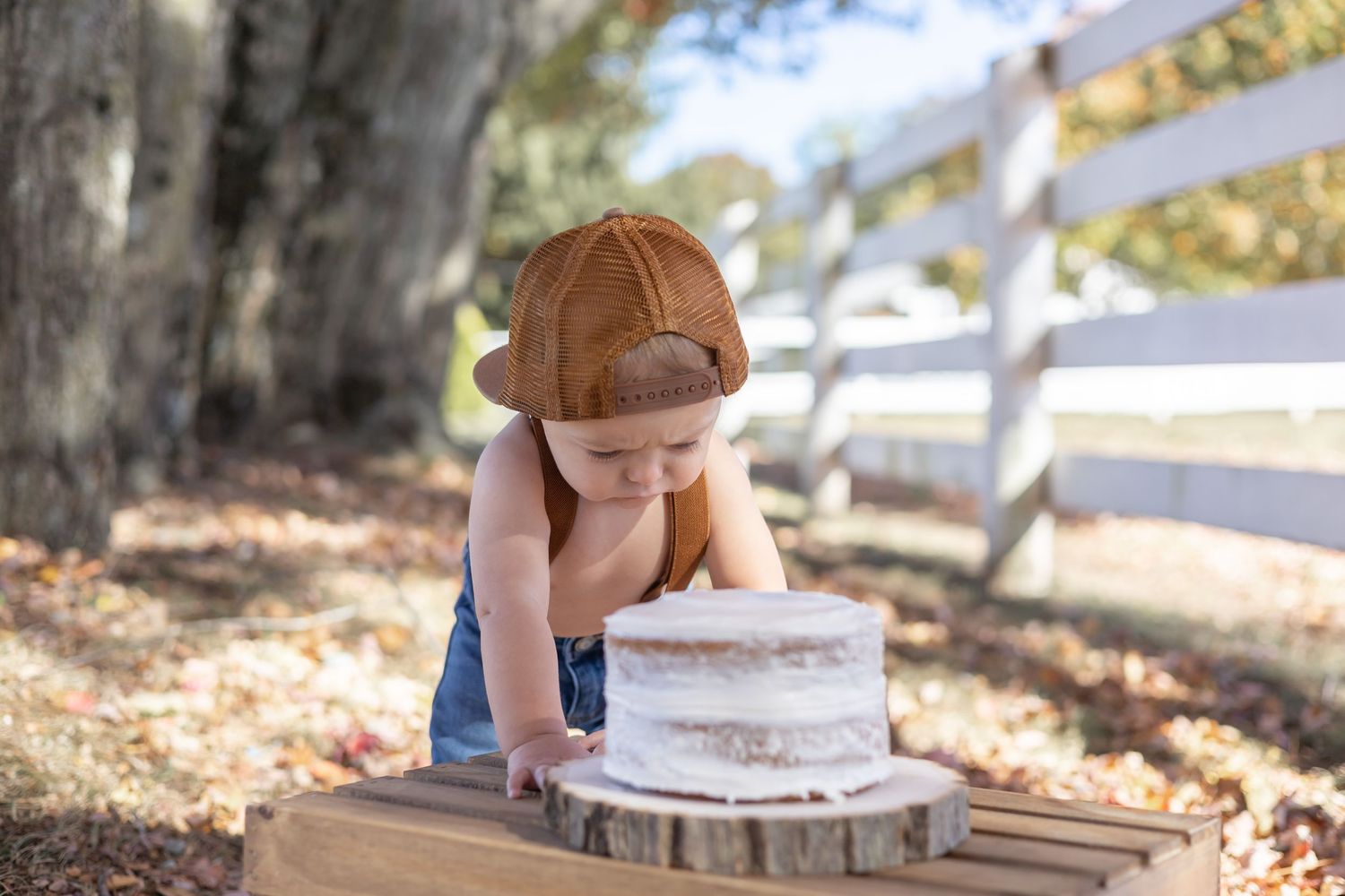 A child interacts with two small animals inside a wooden-framed pen outdoors on a sunny day.