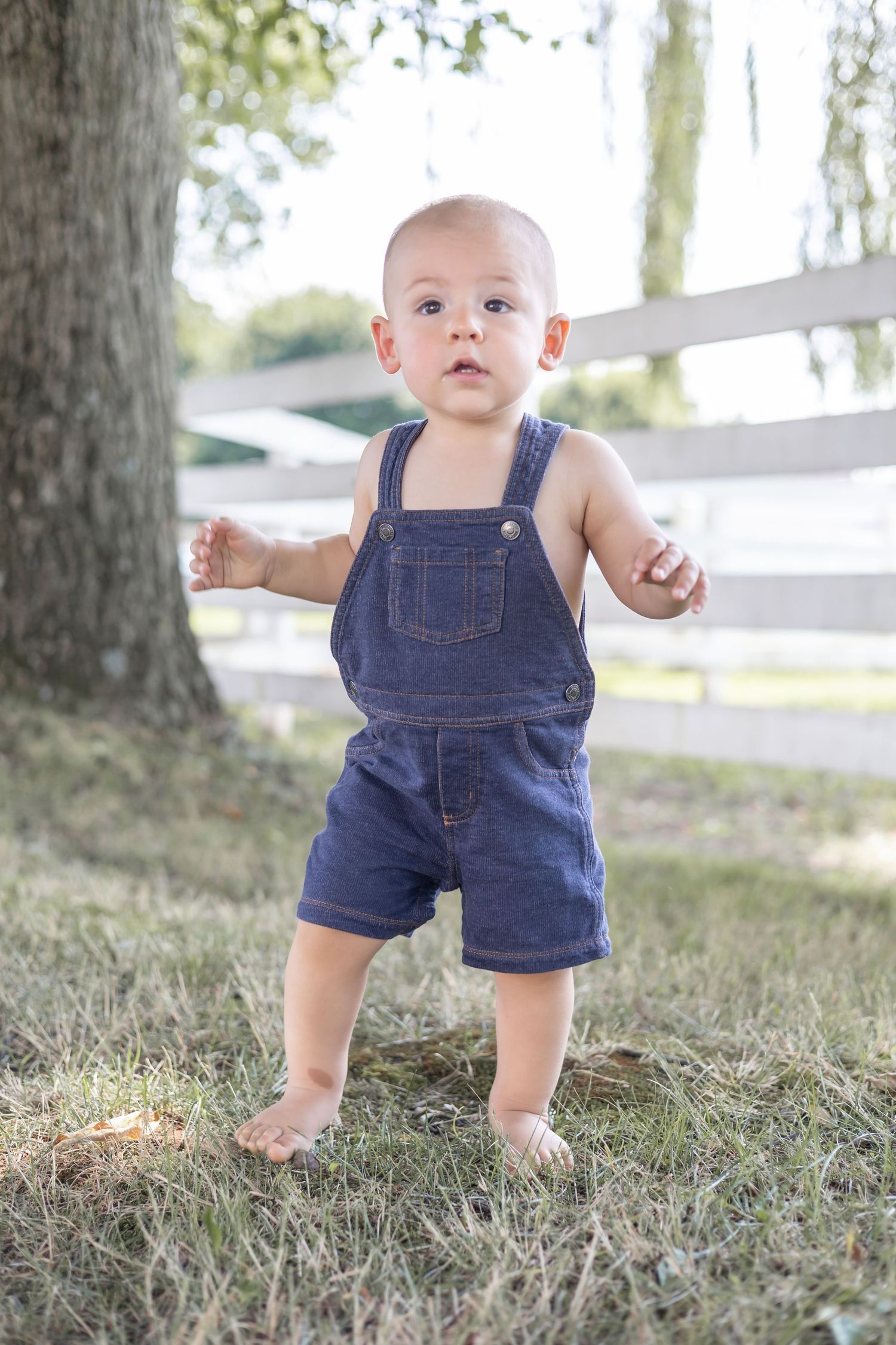 A toddler wearing denim overalls takes beginning steps on a grassy lawn with white fencing in the background.