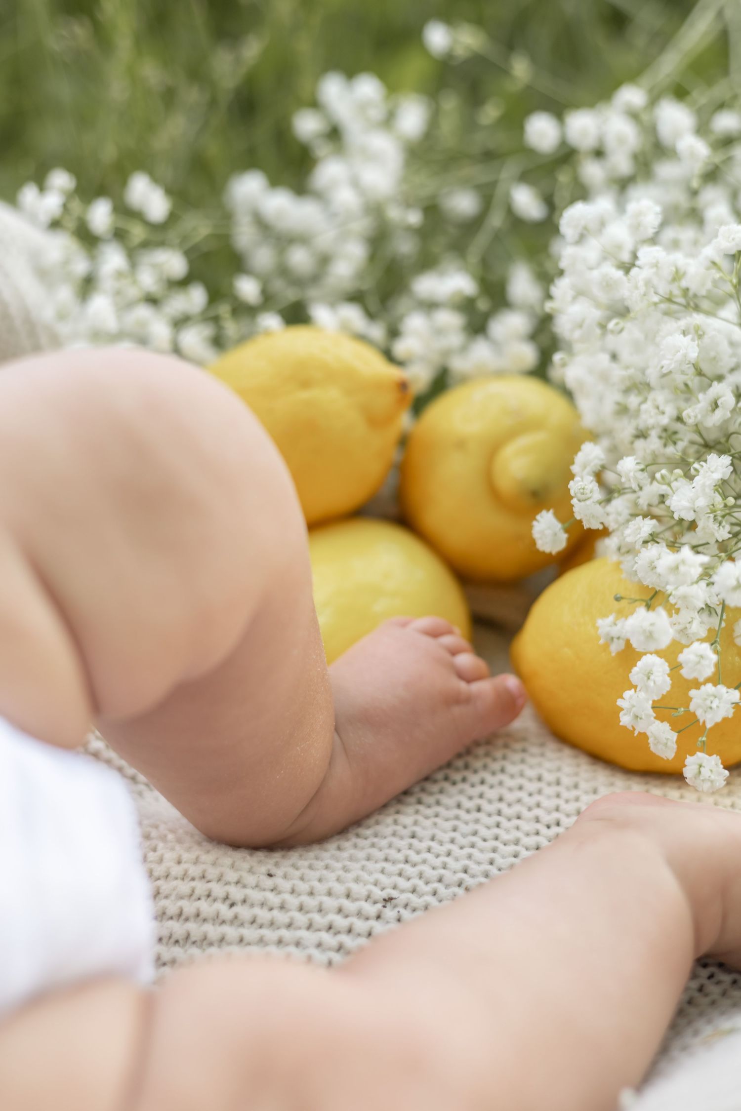 Close up of baby's feet next to fresh yellow lemons and delicate white baby's breath flowers on a knit blanket.