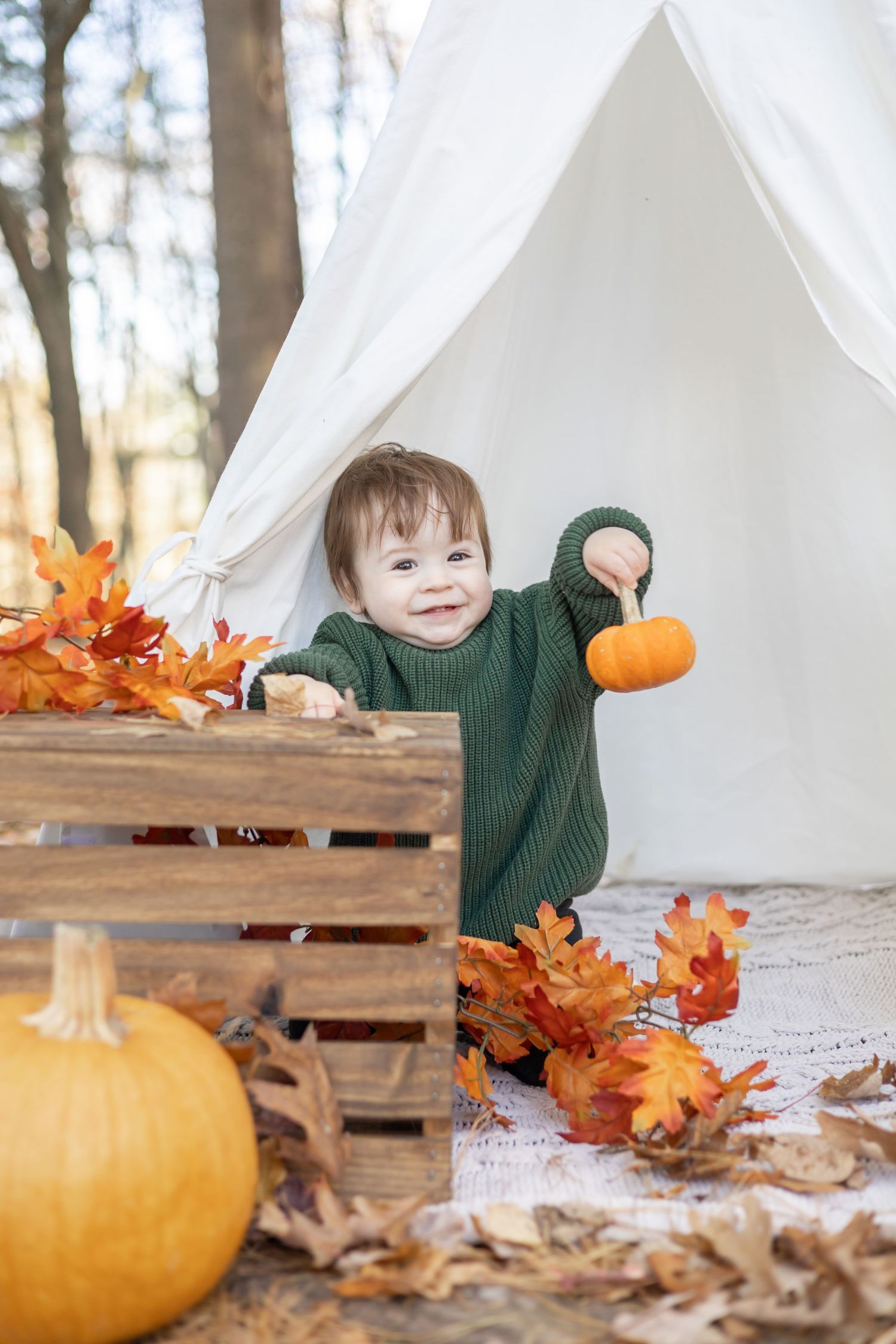 Fall outdoor setup with small white tent, wooden crates, large pumpkin and scattered autumn leaves on the ground.