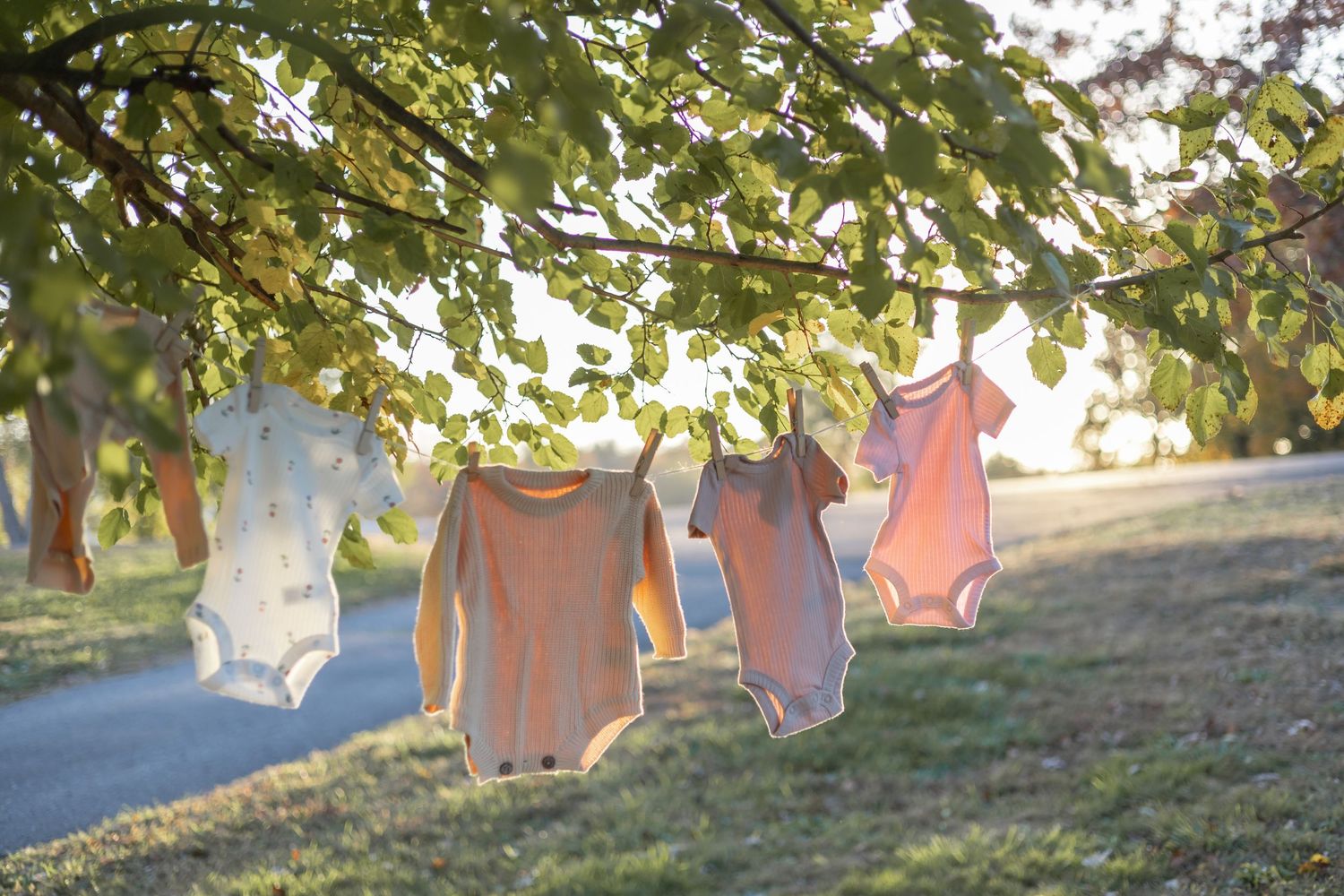 Sunlit trees and foliage create a natural backdrop for an outdoor photo session.