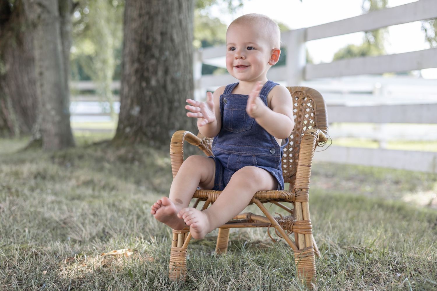 A happy baby in navy blue overalls sits in a wicker chair outdoors on grass with a white fence in the background.