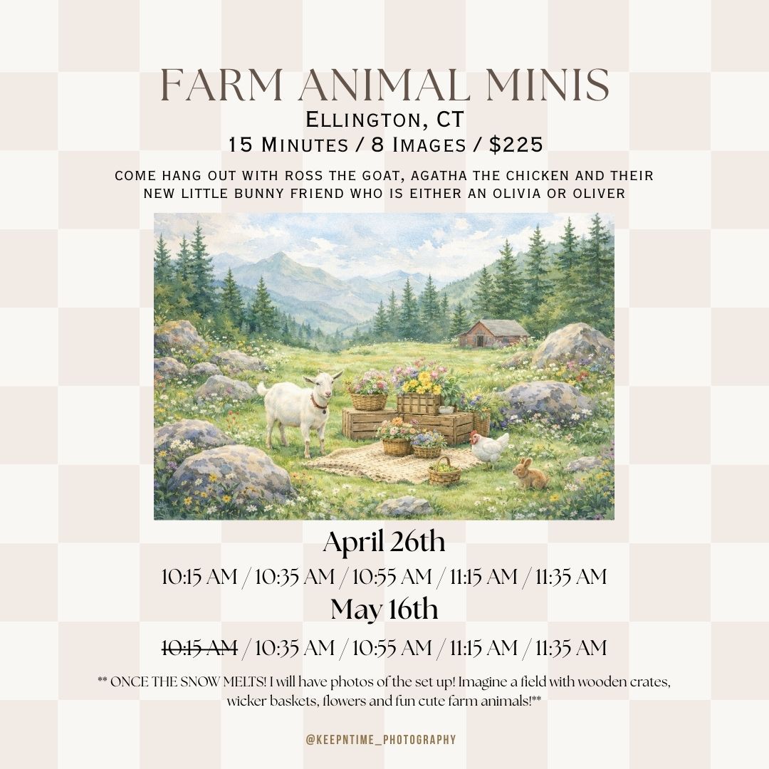 Farm animal mini sessions advertisement with illustrated farm landscape and schedule details for April and May dates.