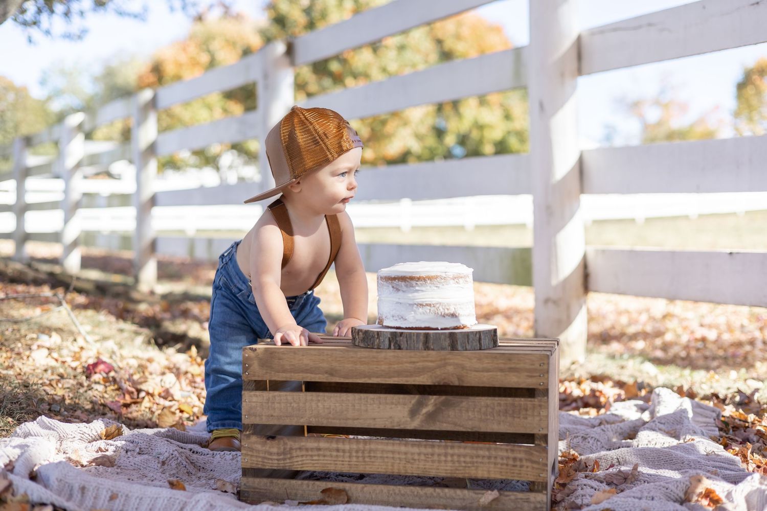 A sequence of images shows someone sitting on wooden boards and planks in an outdoor setting surrounded by autumn leaves.