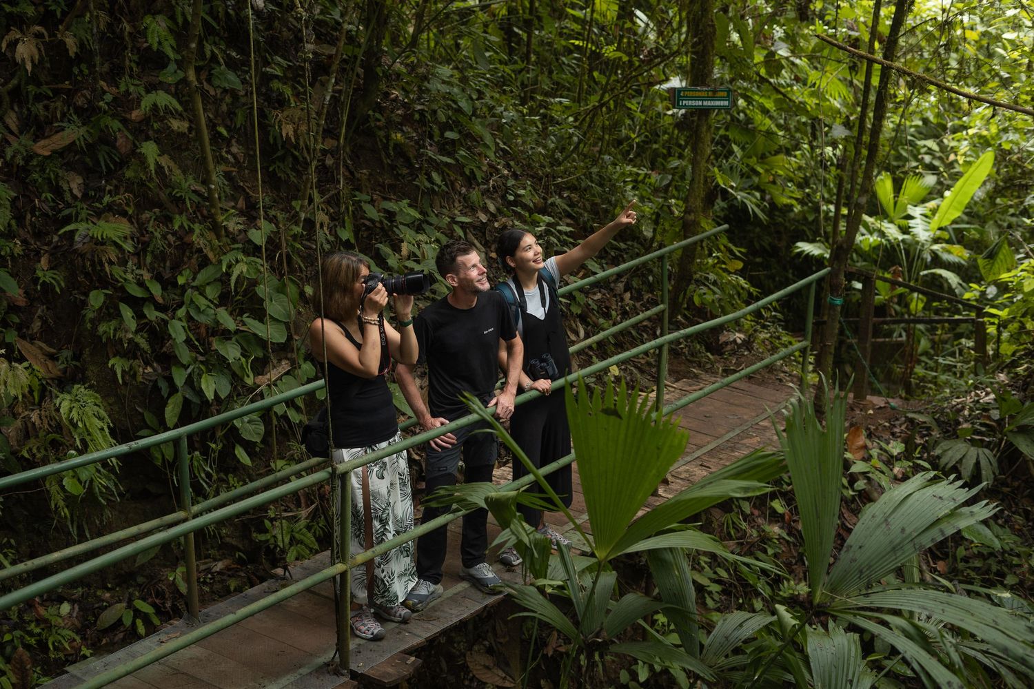 Hikers crossing wooden footbridge through dense tropical rainforest. Rainforest, Rainmaker, Manuel Antonio, Costa Rica.