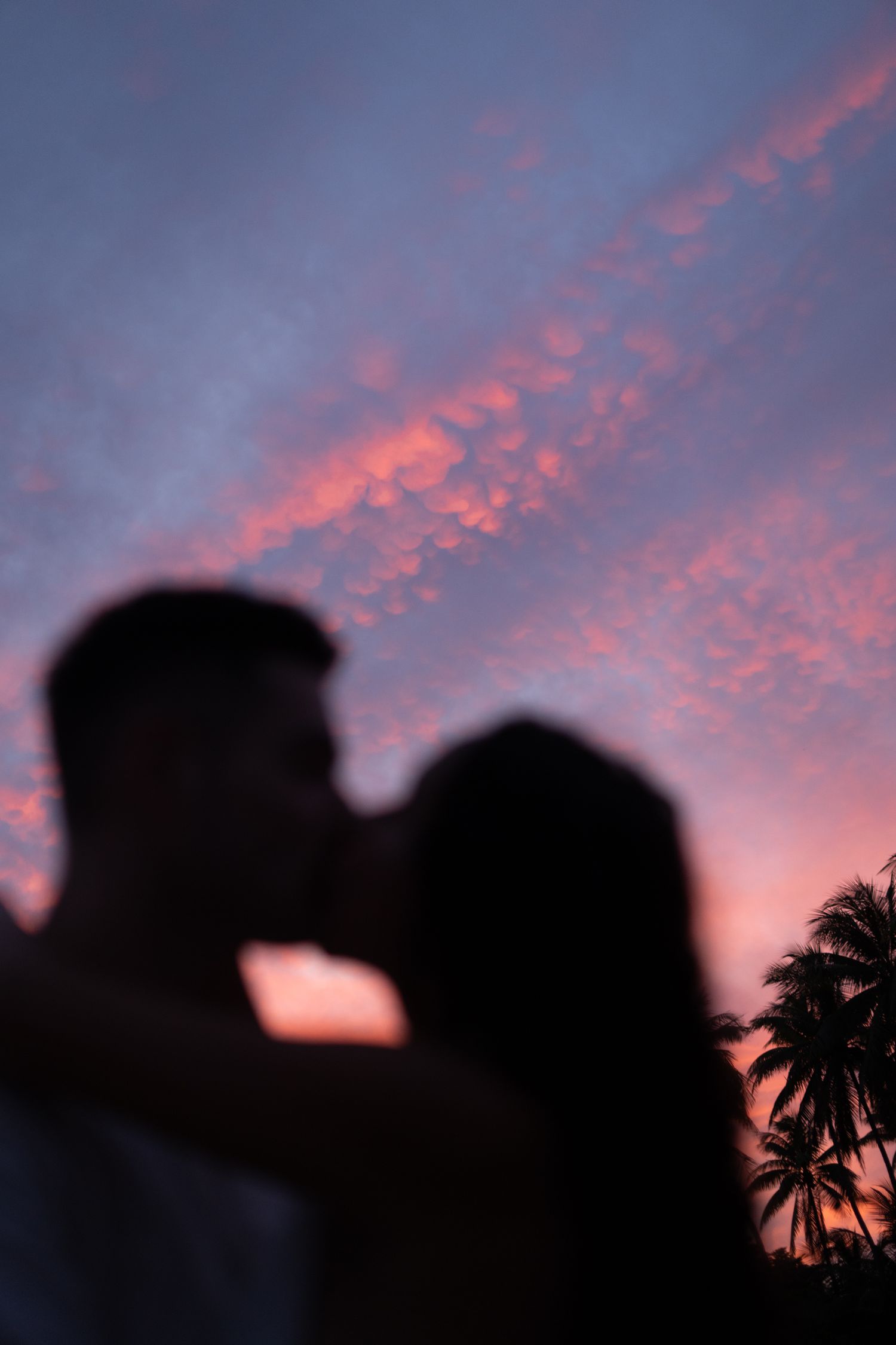 Silhouette of a couple kissing against a stunning pink and purple sunset sky with palm trees.
