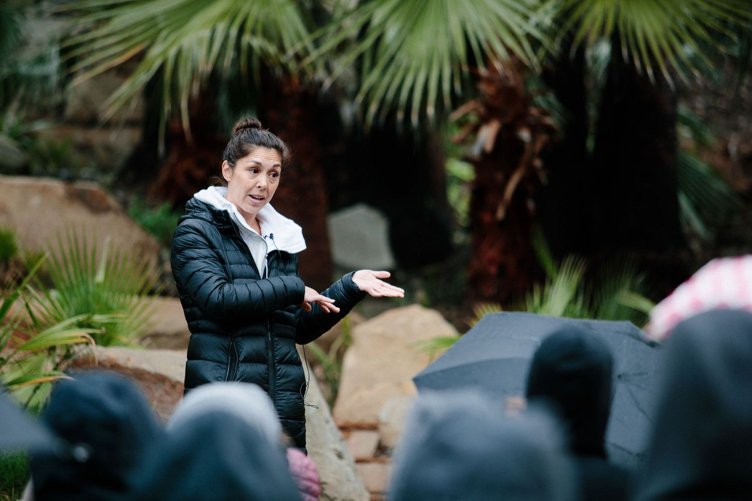 Someone wearing a dark puffy jacket speaks to a crowd while standing among tropical palm plants in an outdoor setting.