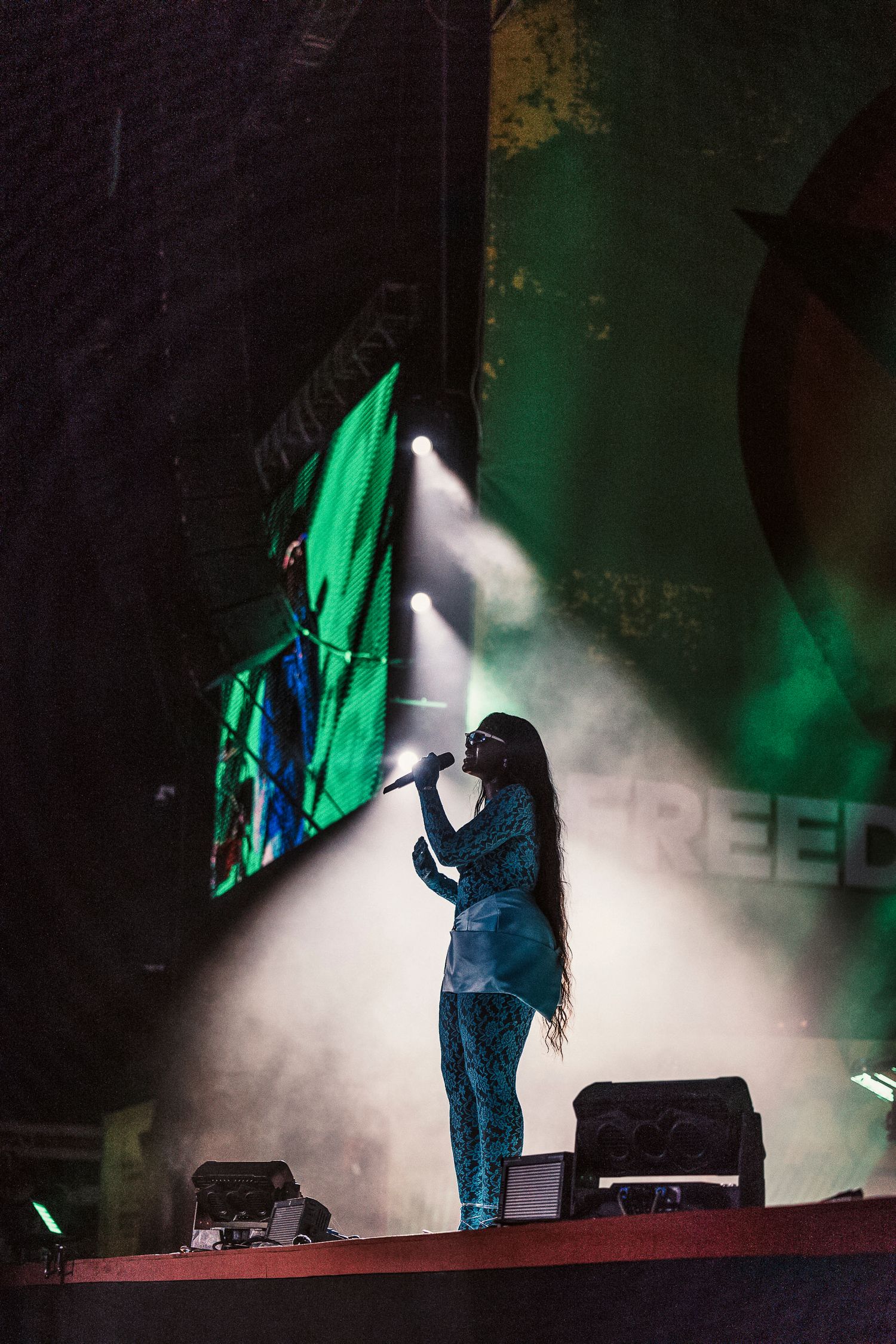 Silhouetted performer on stage with green lighting and fog effects.