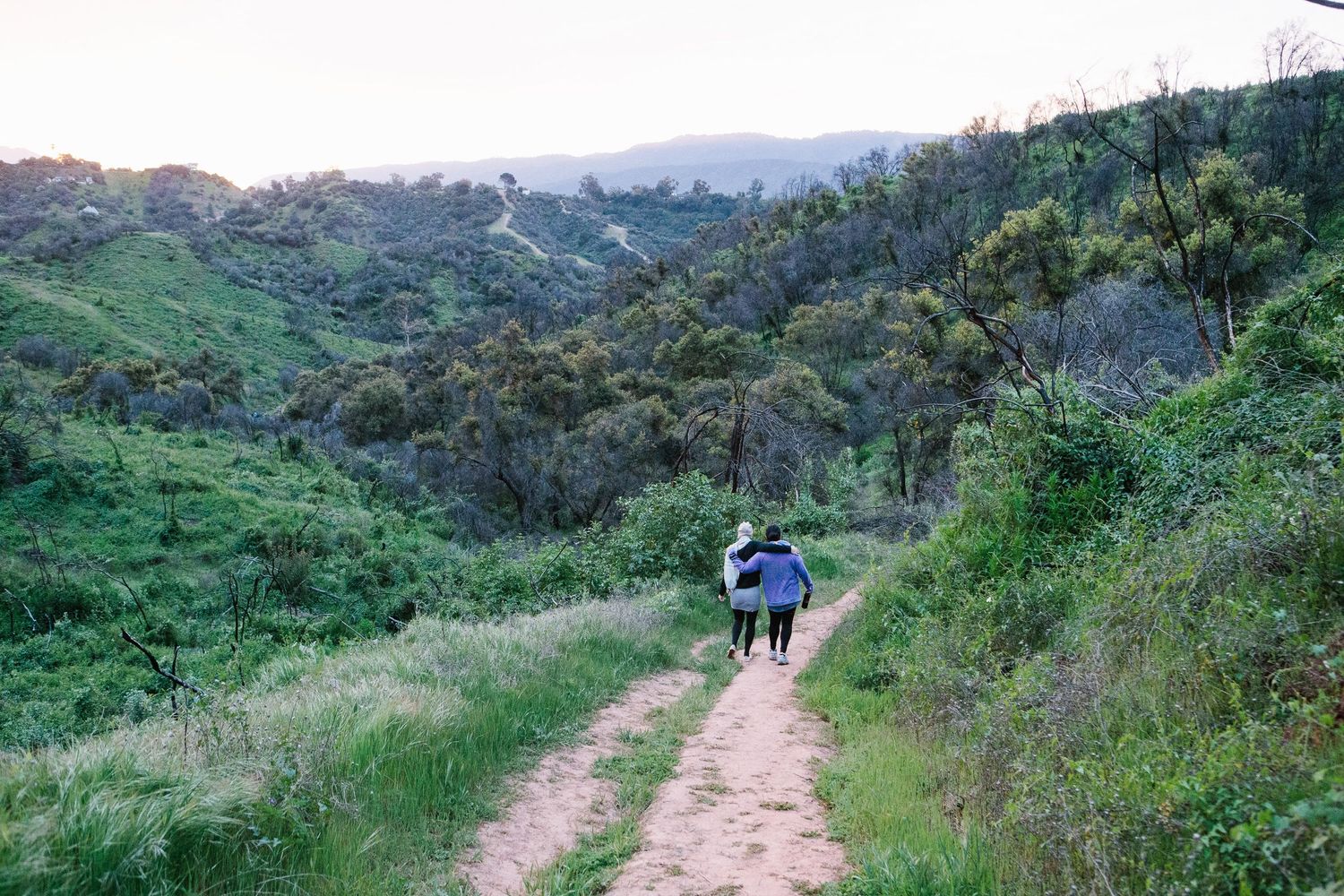 Scenic hiking trail winding through green hills and natural landscape.