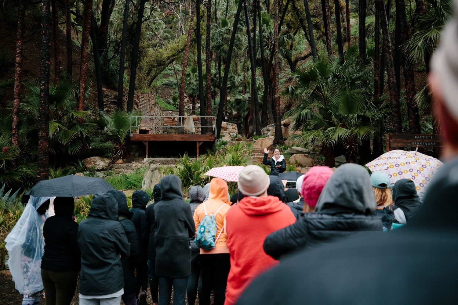 Large group of spectators watching an event in a wooded outdoor setting.