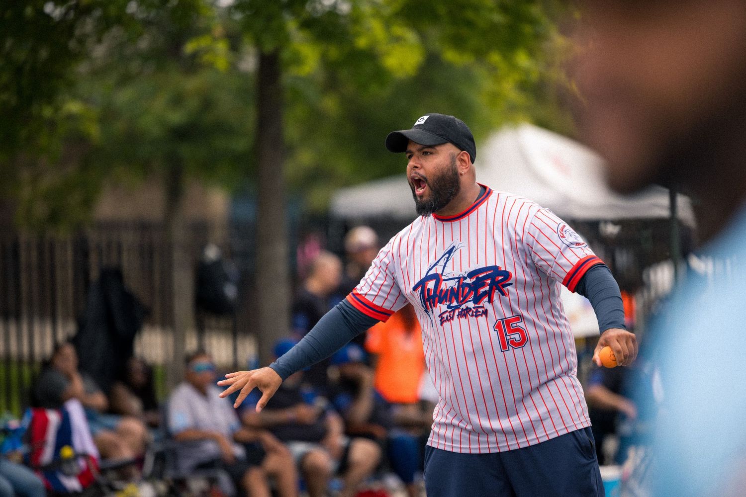 Baseball players in pinstripe jerseys high five and celebrate during a game on a sunny afternoon.