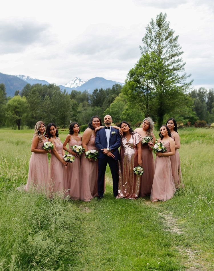 Wedding party poses in dusty rose dresses against mountain backdrop in grassy meadow.
