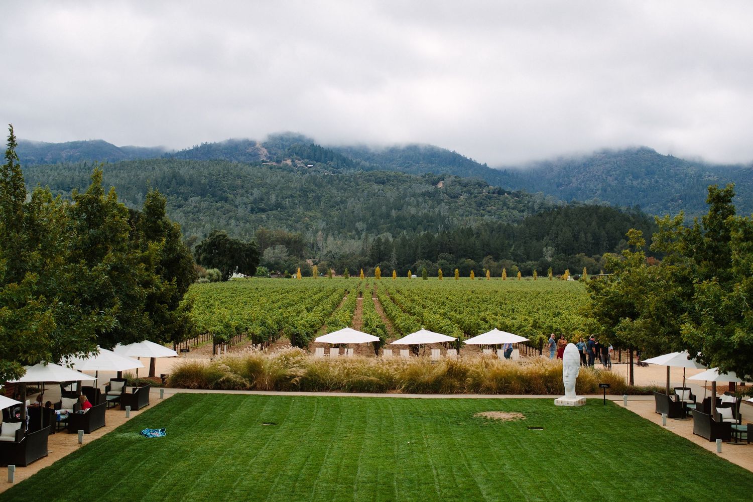 Outdoor event venue with green lawn, white tents and mountain vineyard backdrop in misty weather.
