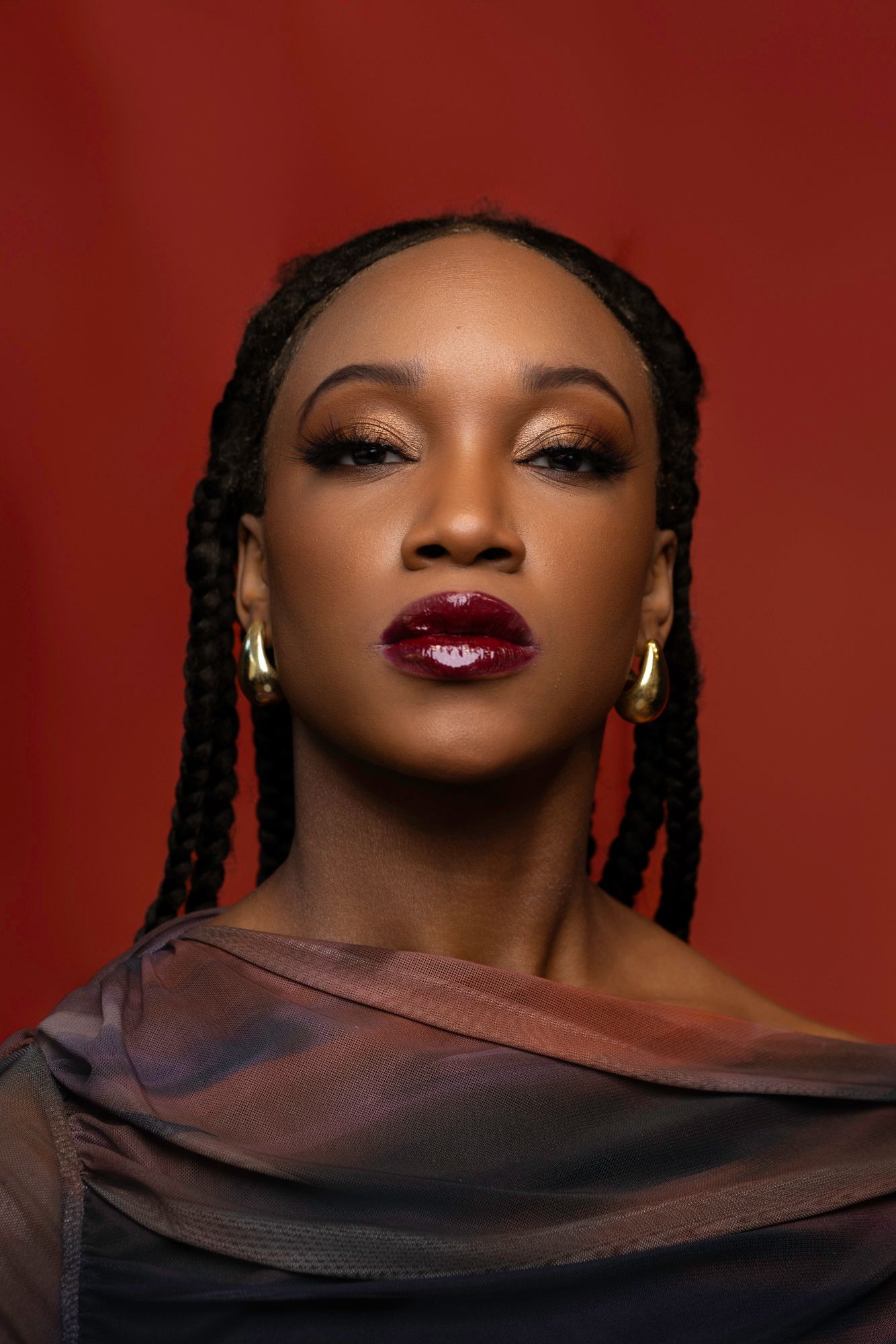 Glamour portrait with burgundy lipstick and braided hair against rich red background.