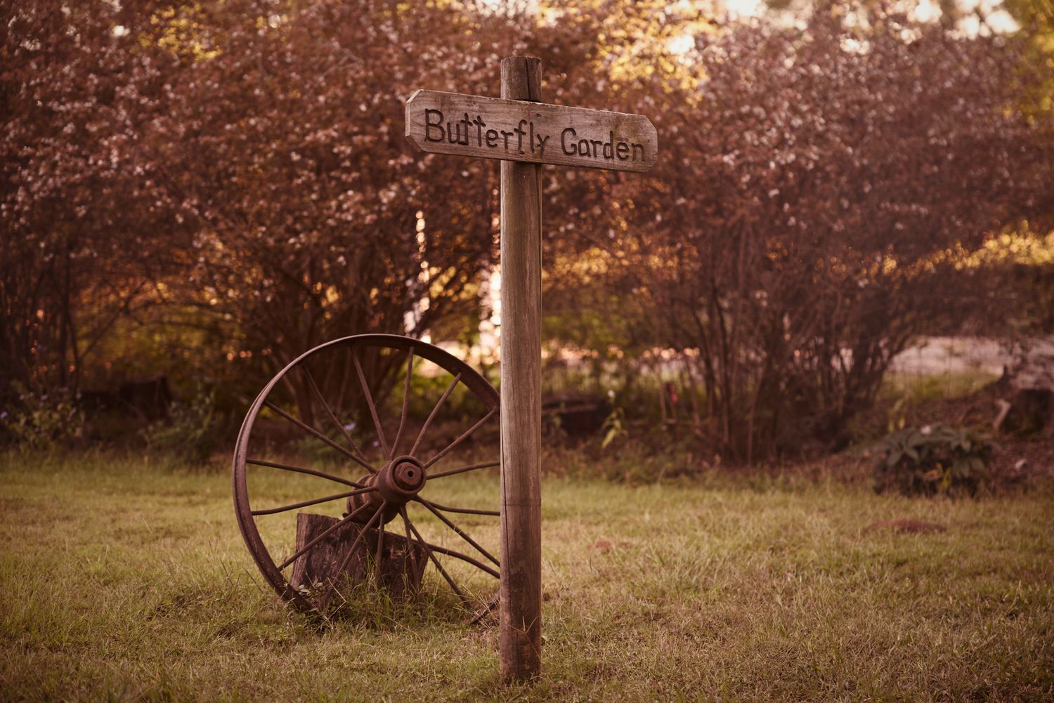 Rustic wooden bicycle path sign post in a serene autumn setting.